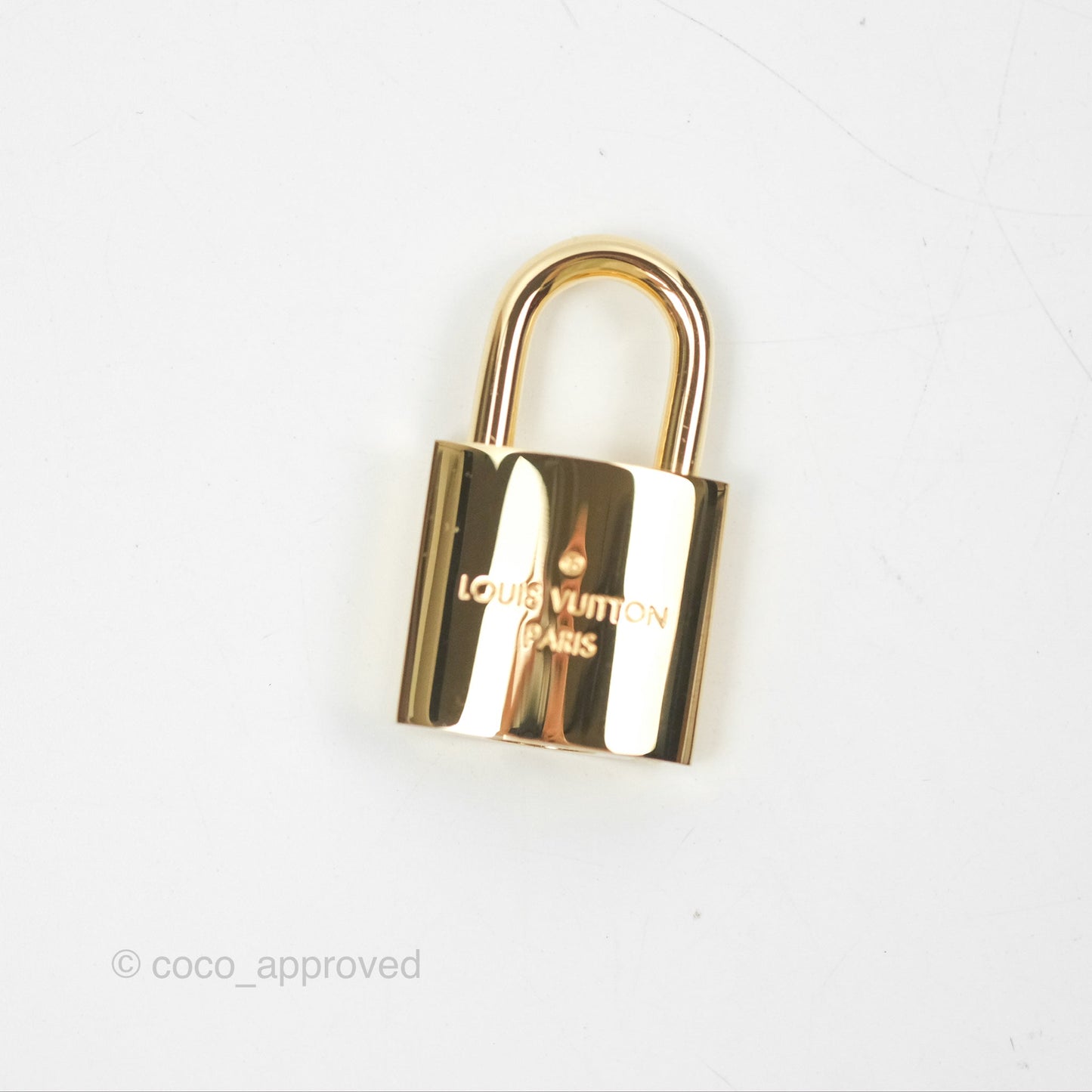 Louis Vuitton Reverse Monogram Vanity PM