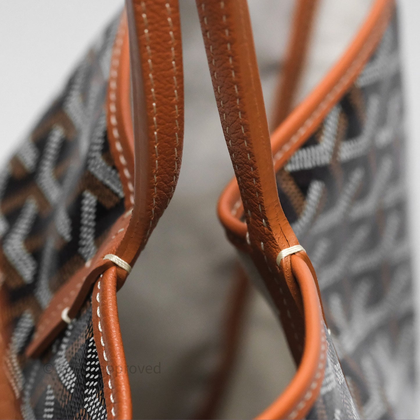Goyard Saint Louis Tote PM⁣⁣⁣⁣⁣⁣⁣⁣⁣⁣⁣⁣⁣⁣⁣⁣⁣⁣⁣⁣ Black/Tan