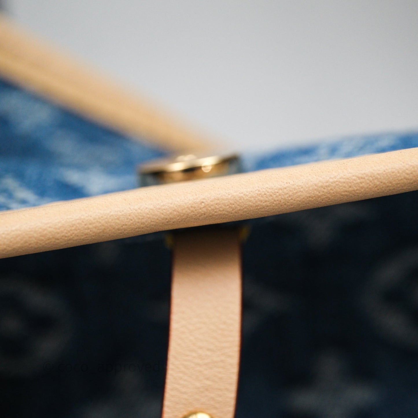 Louis Vuitton CarryAll MM Denim Blue Monogram