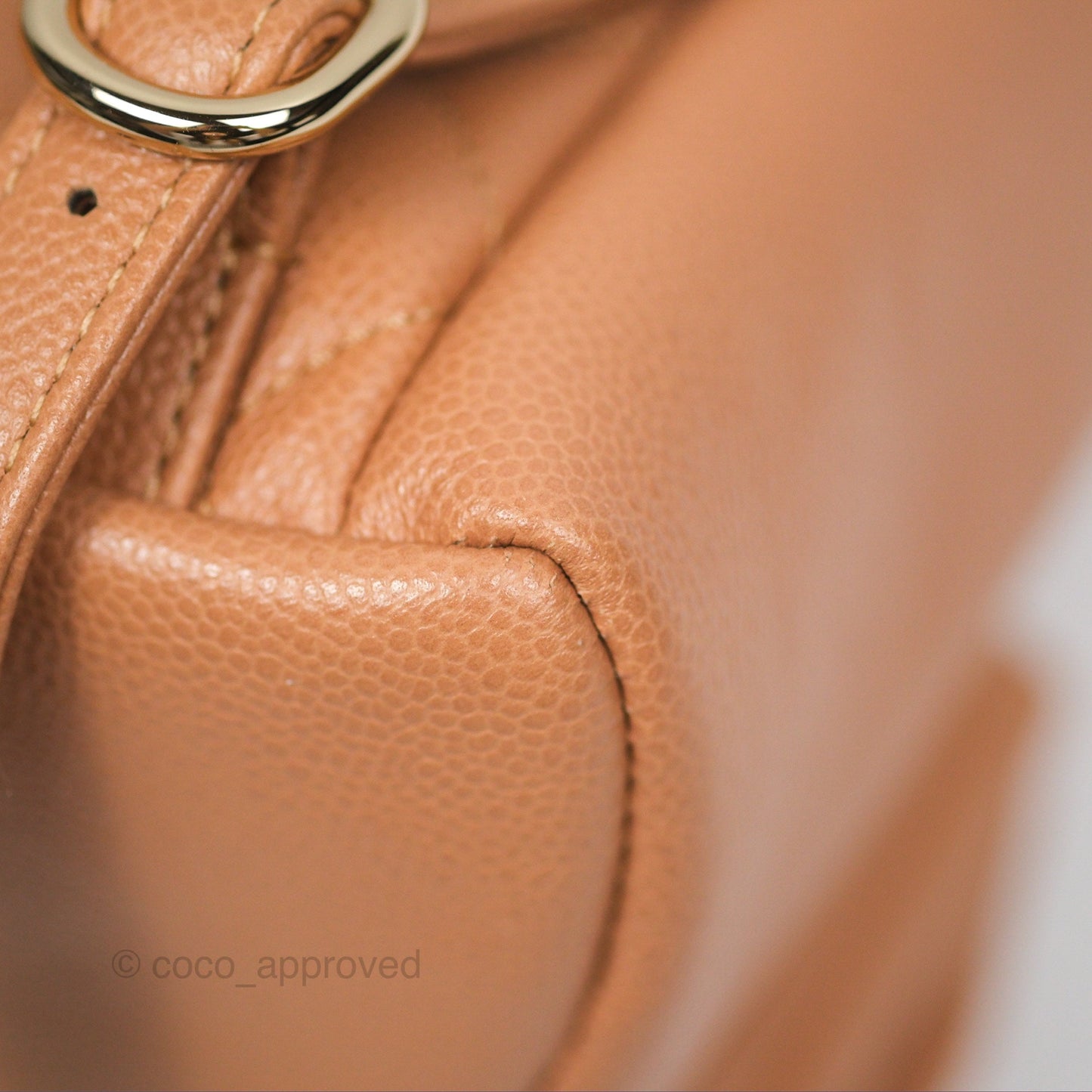Chanel Duma Backpack Medium Dark Beige Caviar Gold Hardware