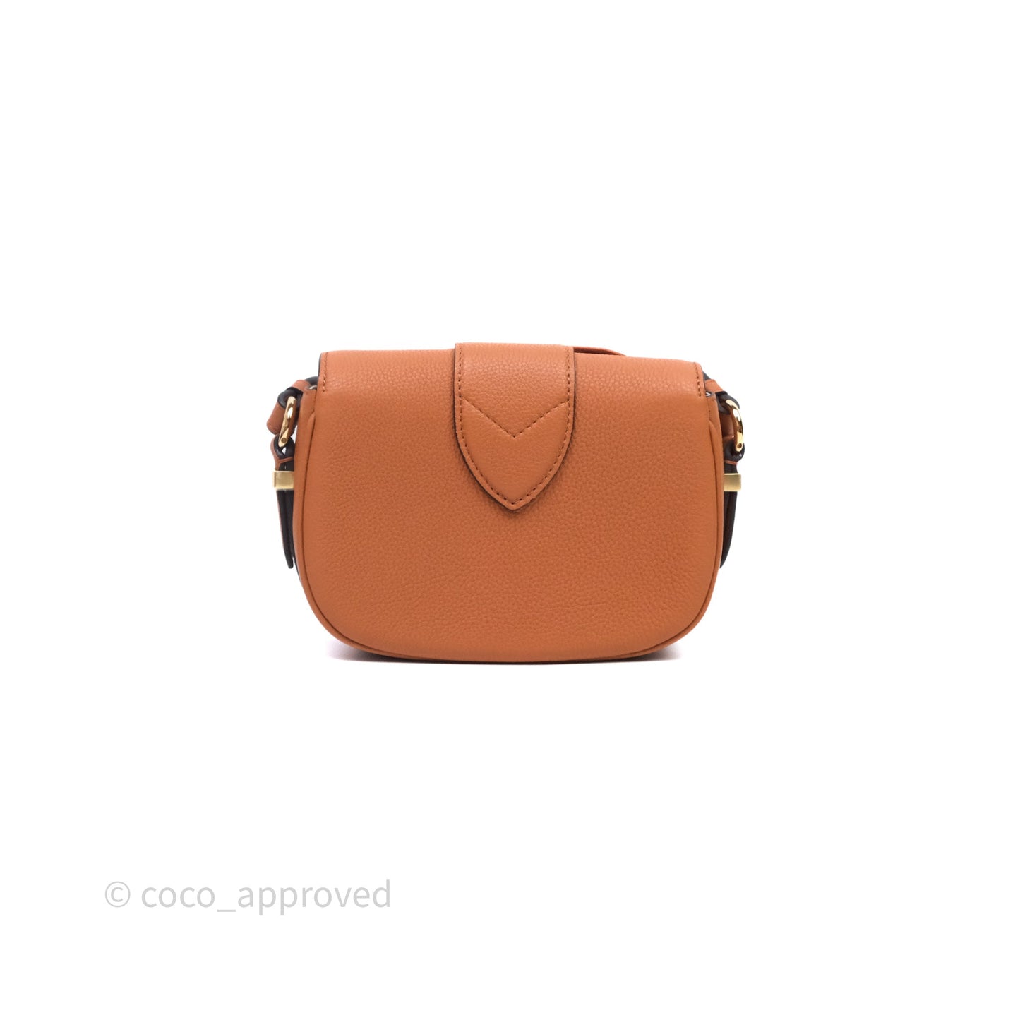 Louis Vuitton Pont 9 Soft PM Brown Grained Calfskin Gold Hardware