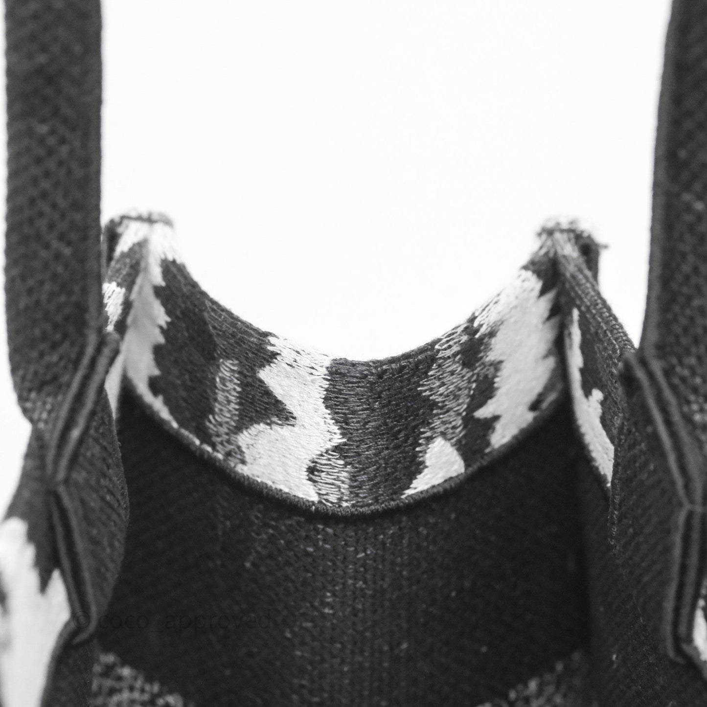 Dior Medium Book Tote Paris Embroidered Black White