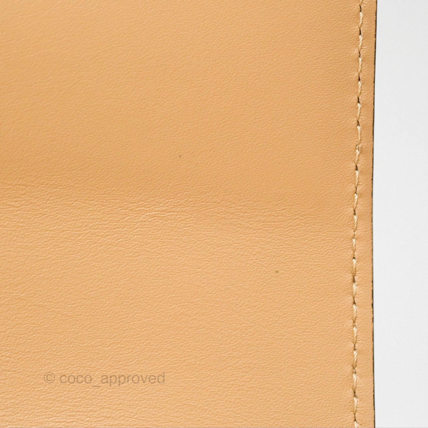 Delvaux Lingot Bag Latte Olen Calfskin