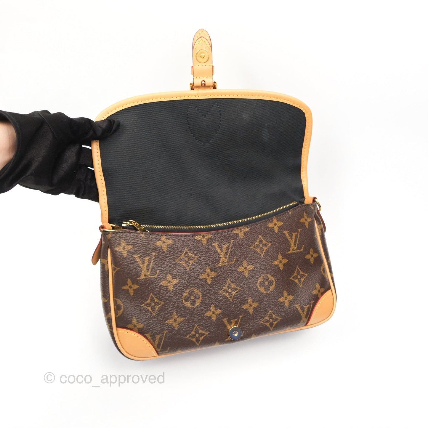 Louis Vuitton Diane Bag Monogram Canvas with Jacquard Strap