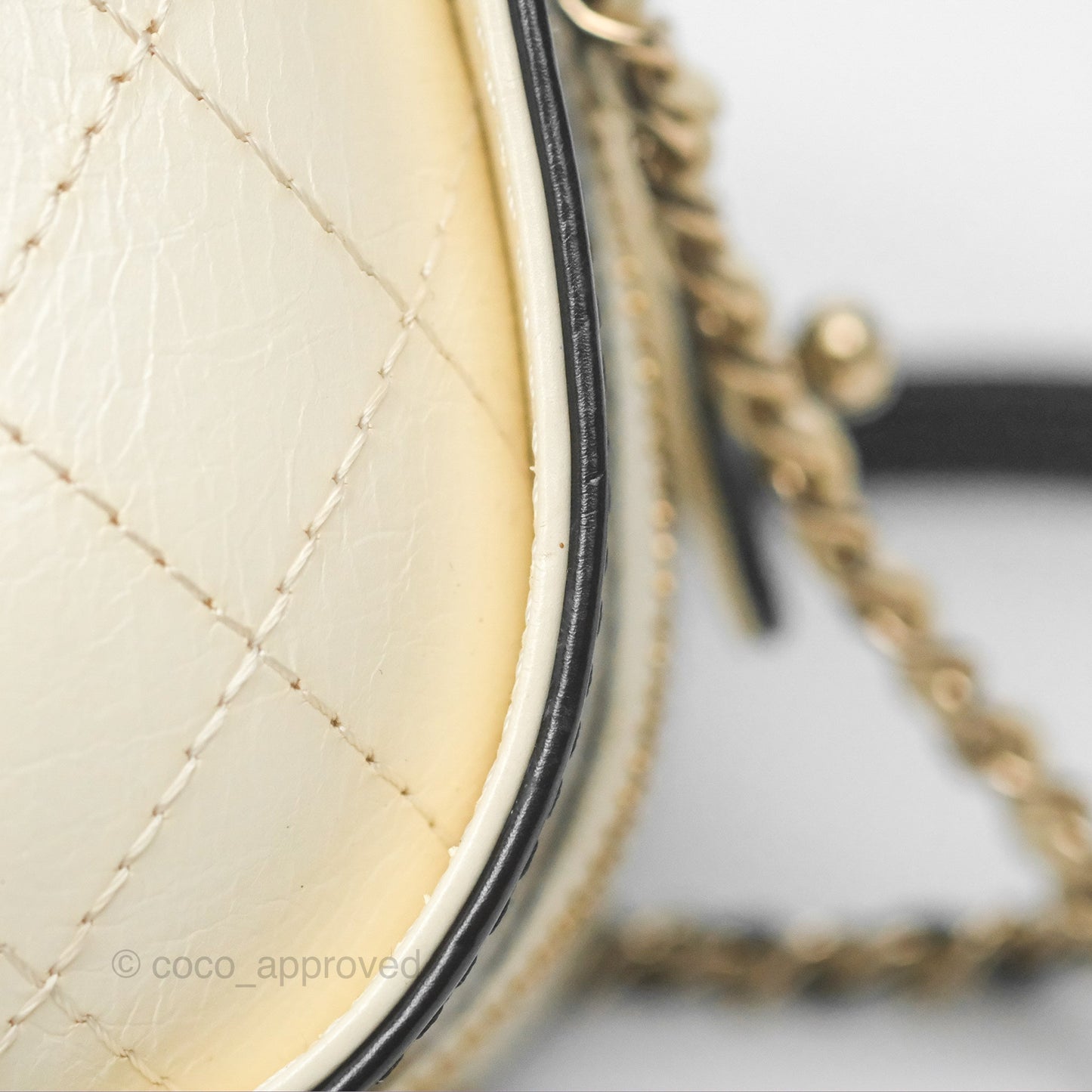 Chanel Camera Case Bag Black/White Calfskin Gold Hardware