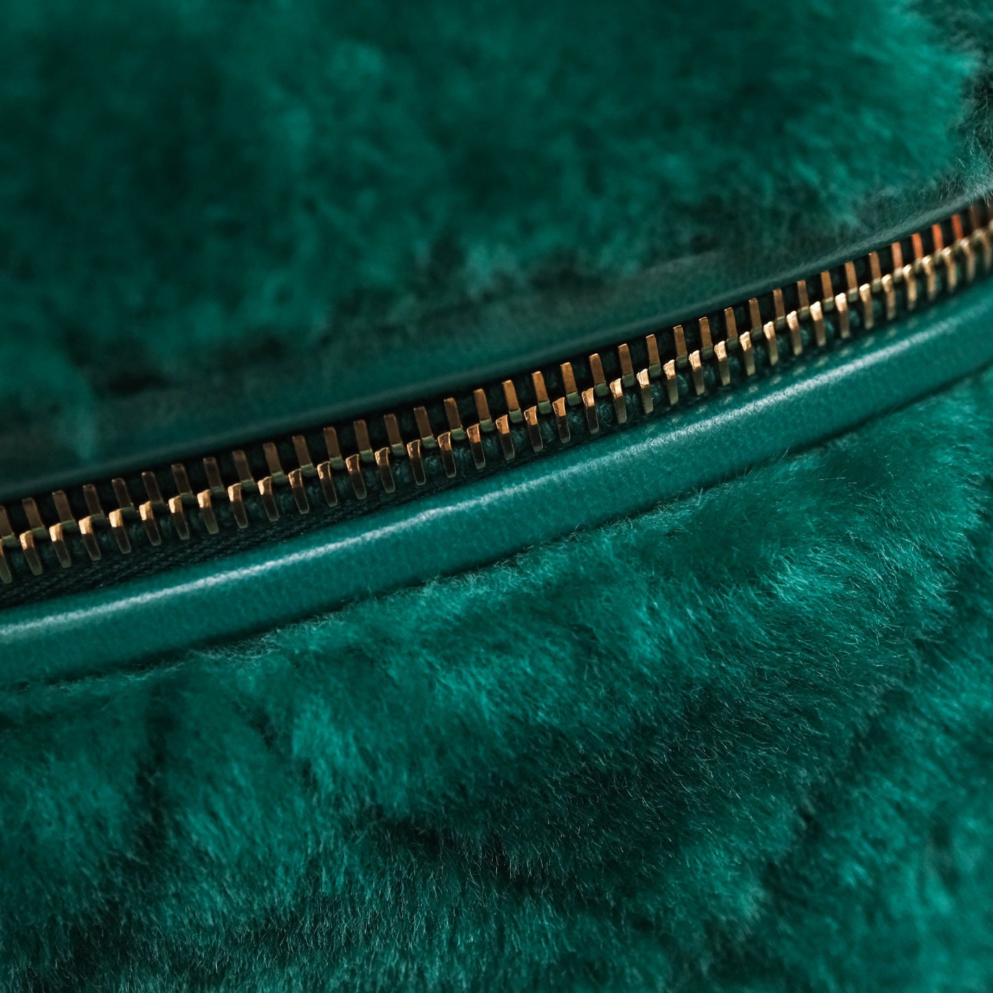 Chanel Small Vanity Case Green Shearling Aged Gold Hardware 22A