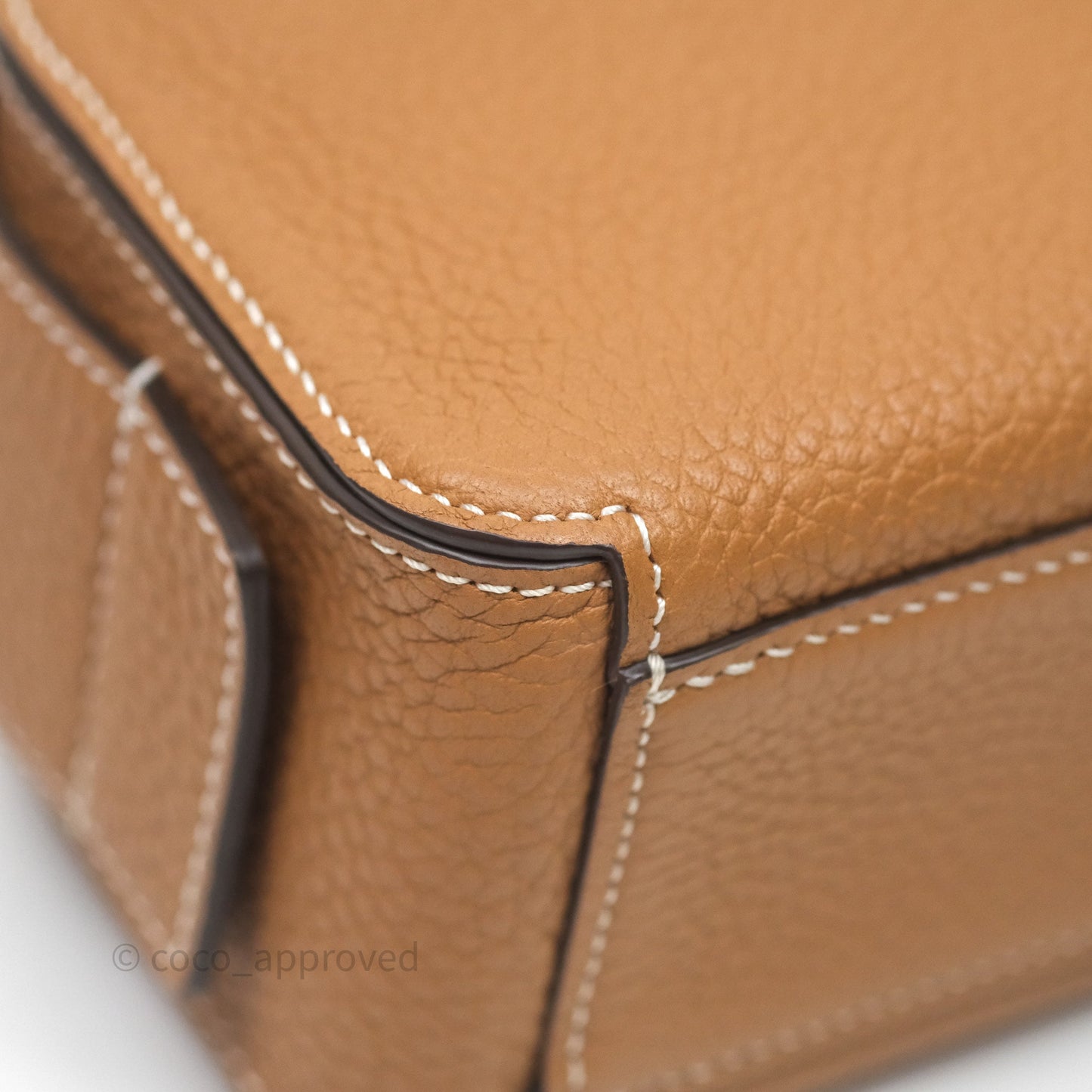Delvaux Cool Box Nano Taurillon Soft Grained Calfskin Vegetal Ivory Gold Hardware