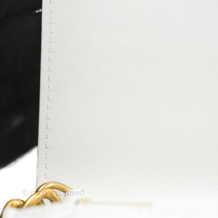 Chanel Mini Resin Chain Wallet on Chain WOC White Lambskin Gold Hardware
