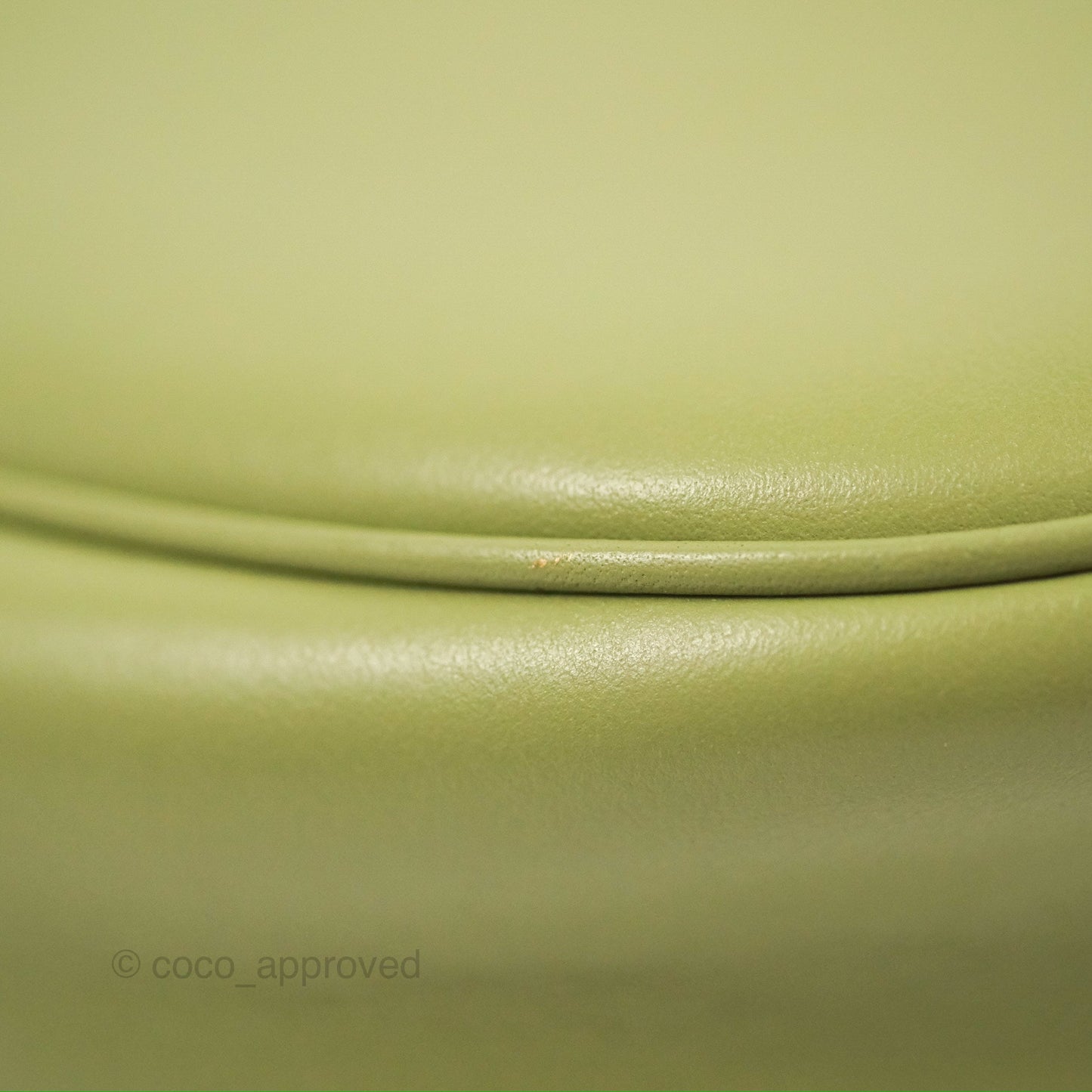Celine Ava Bag Avocado Green Calfskin