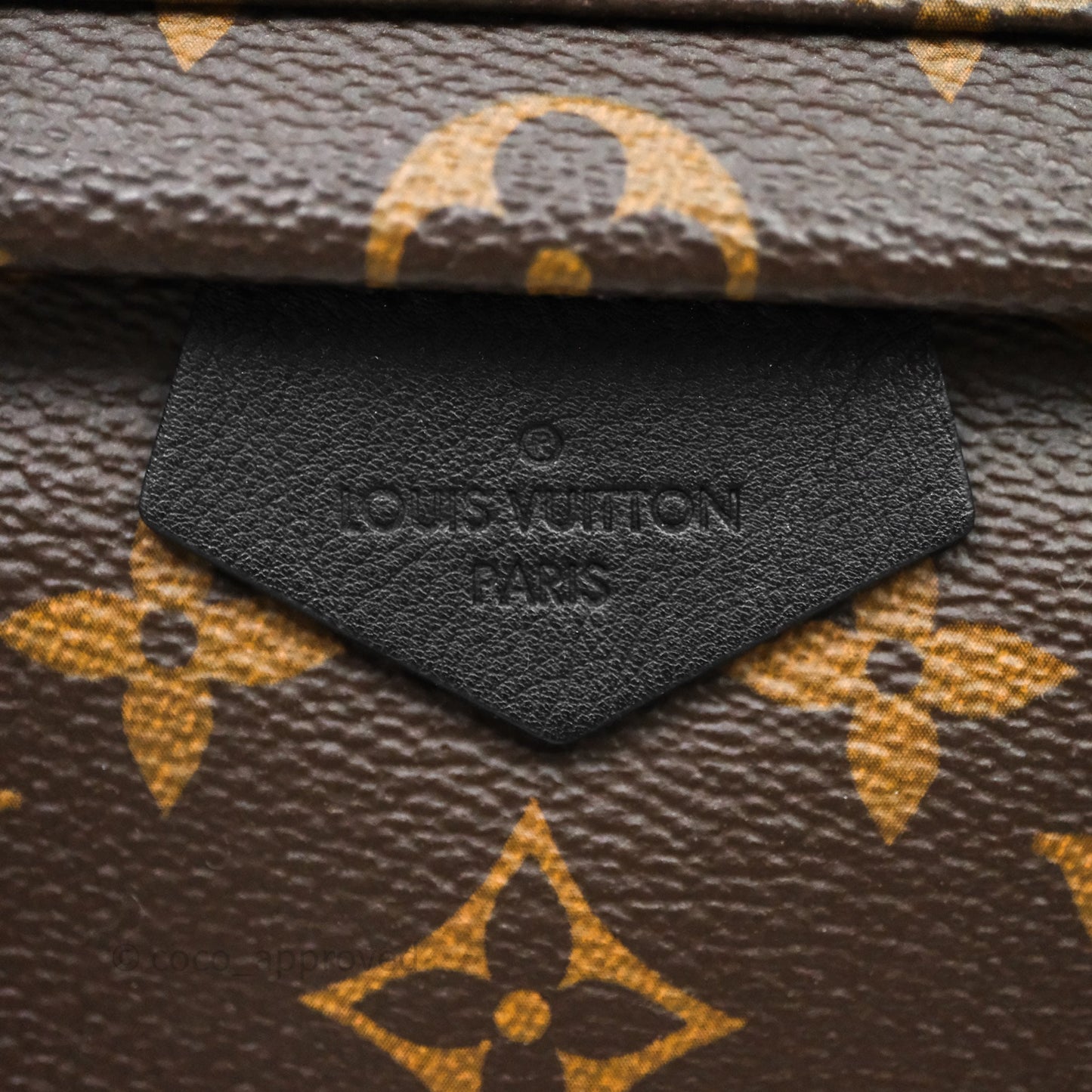 Louis Vuitton Palm Springs Backpack⁣ Monogram PM