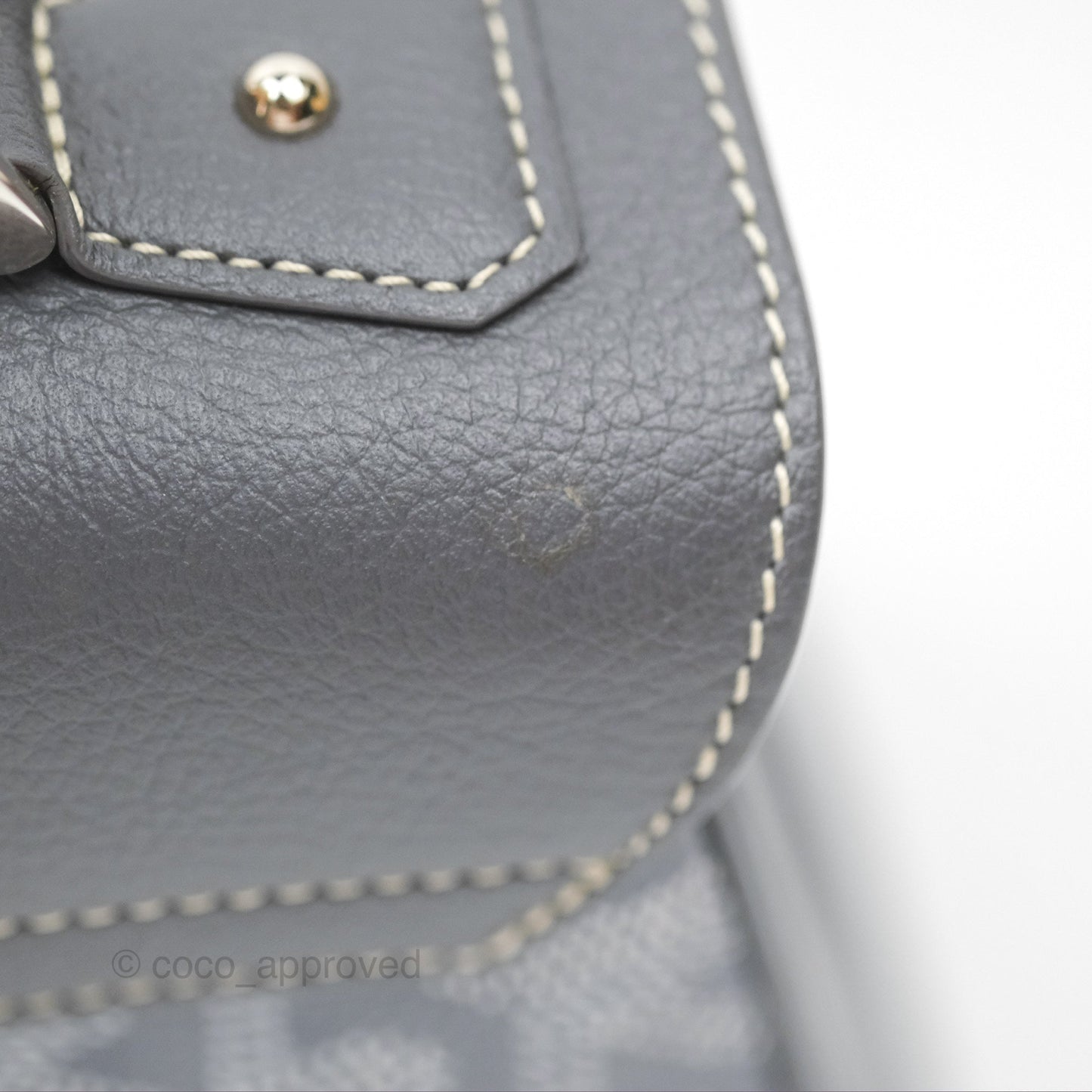 Goyard Saïgon Mini Bag Chevroches Calfskin Grey Silver Hardware