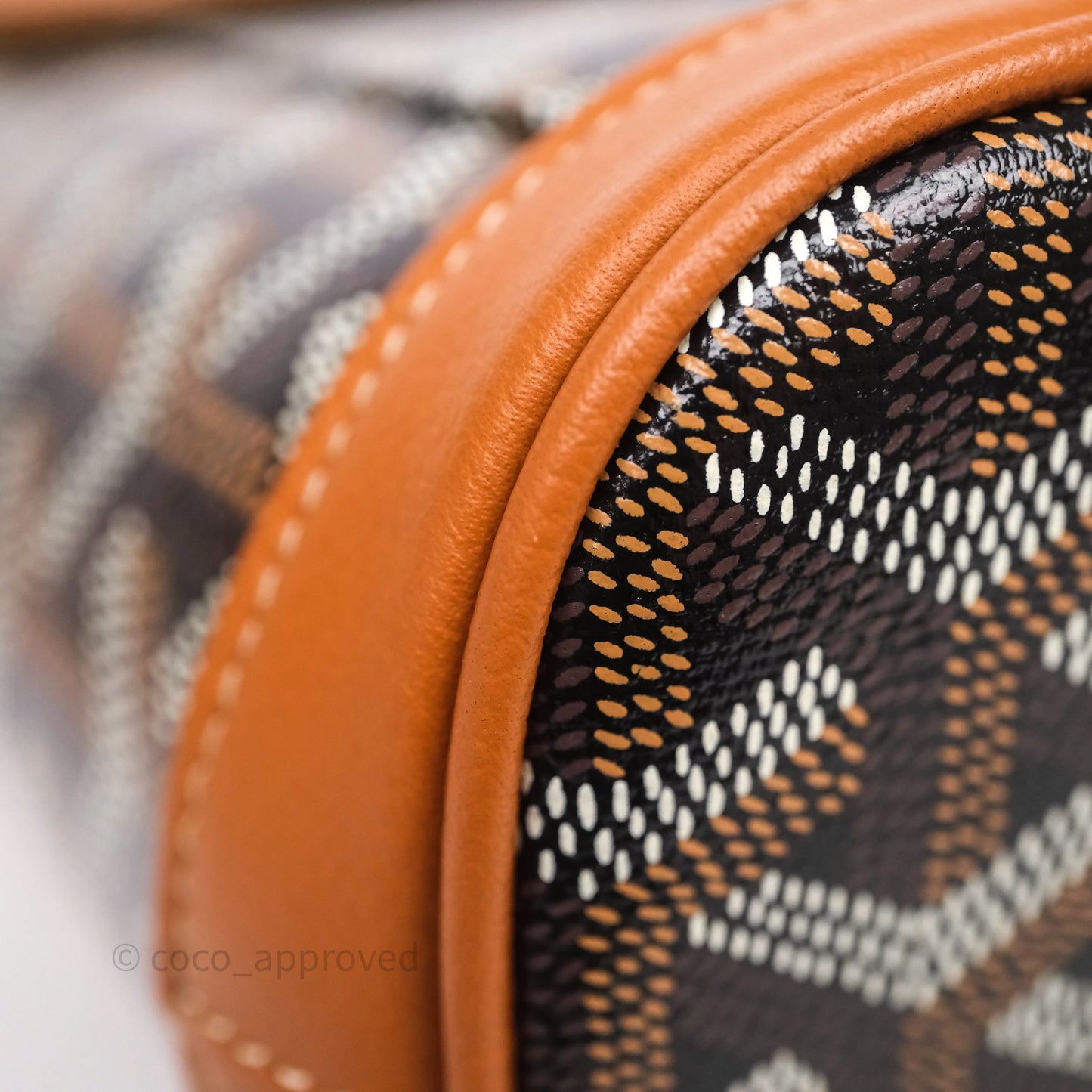 Goyard Mini Alpin Backpack Black/ Tan  Goyardine Calfskin