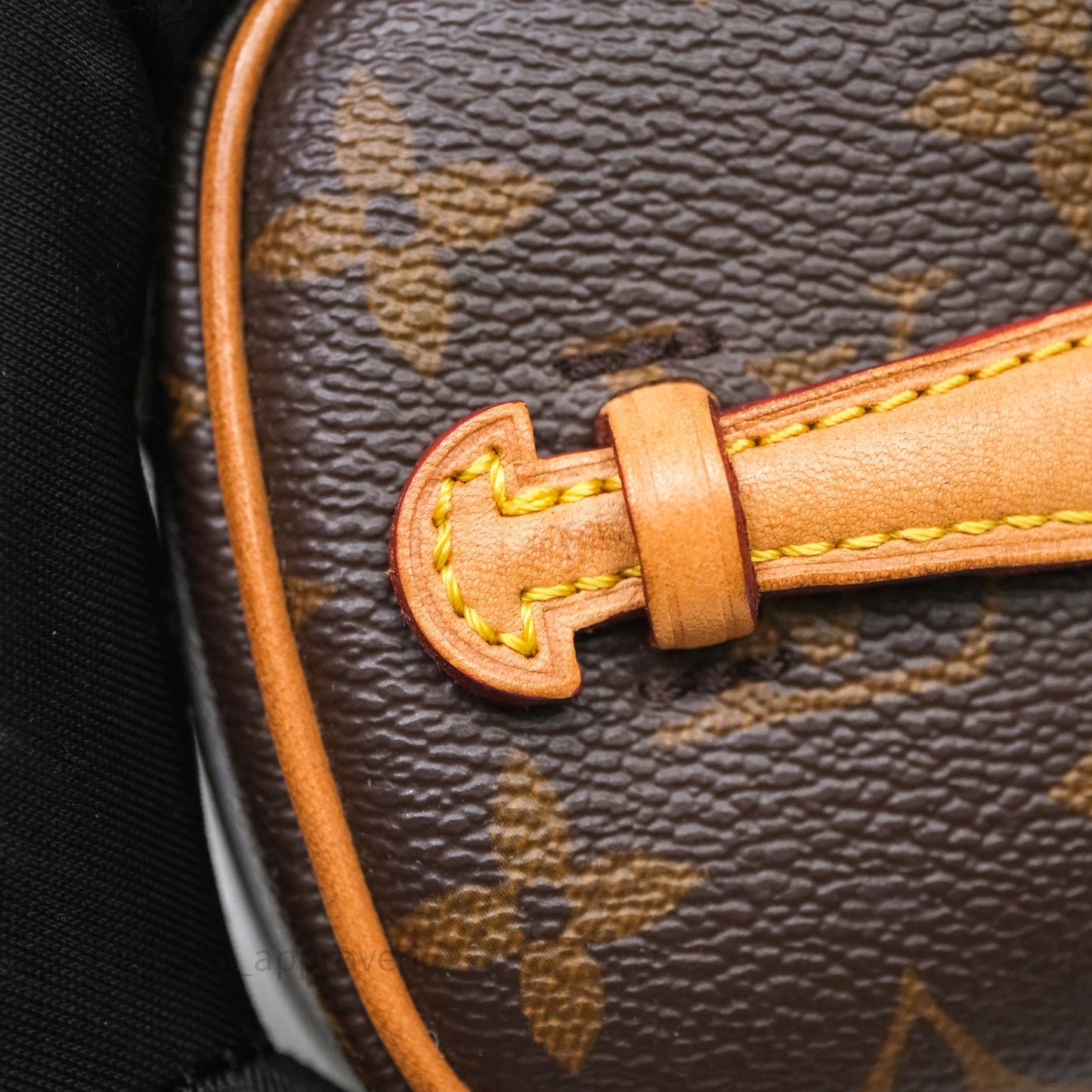 Louis Vuitton Nice Nano Monogram Canvas