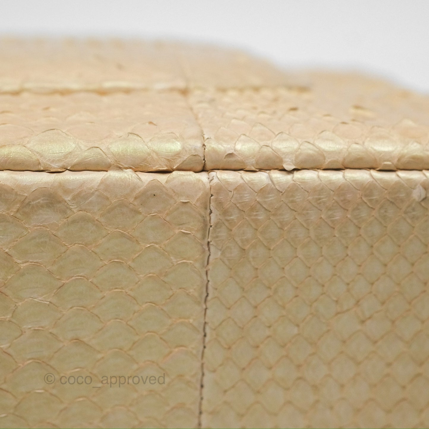 Chanel Jumbo Double Flap Iridescent Gold Python Gold Hardware⁣⁣