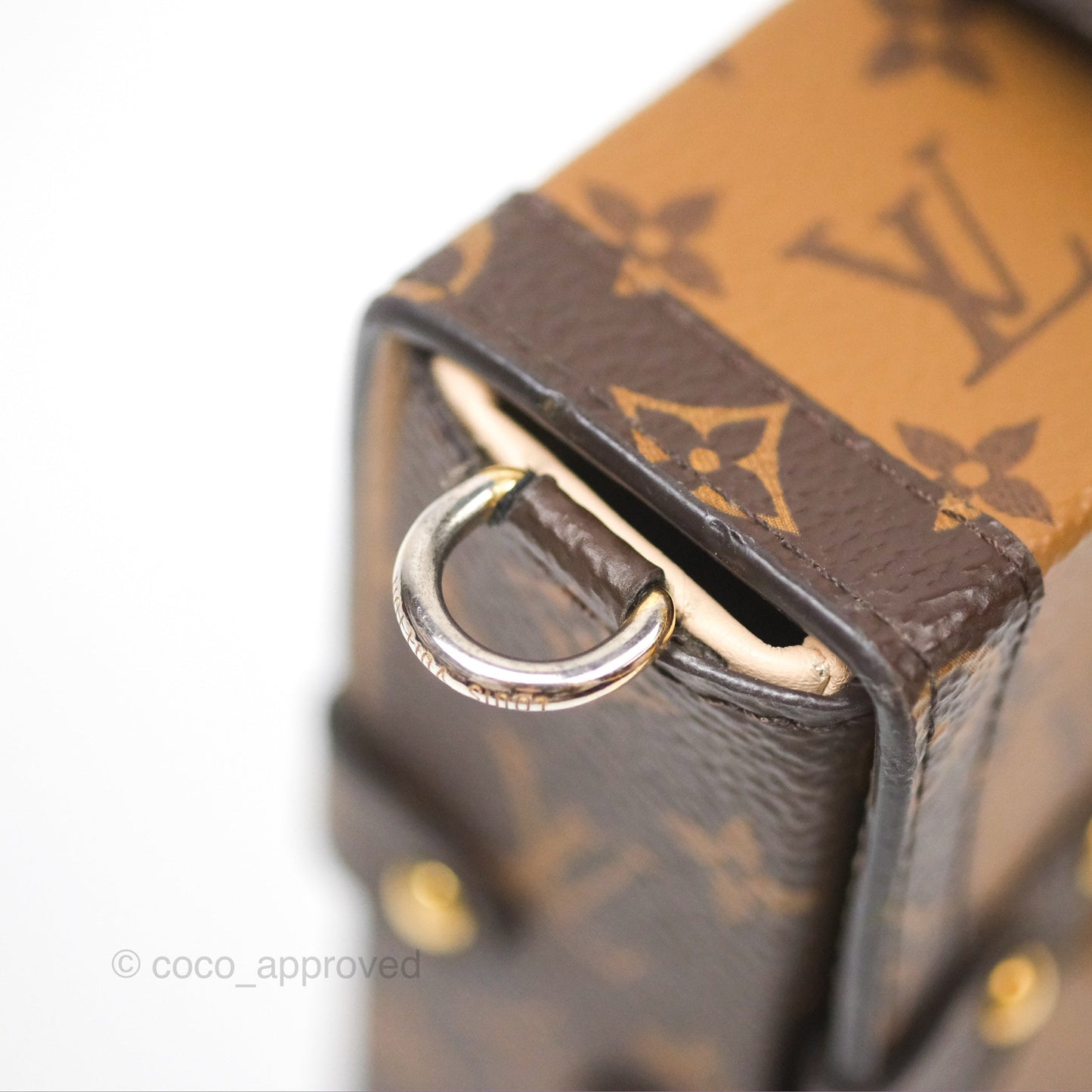 Louis Vuitton Reverse Monogram Pochette Vertical Trunk