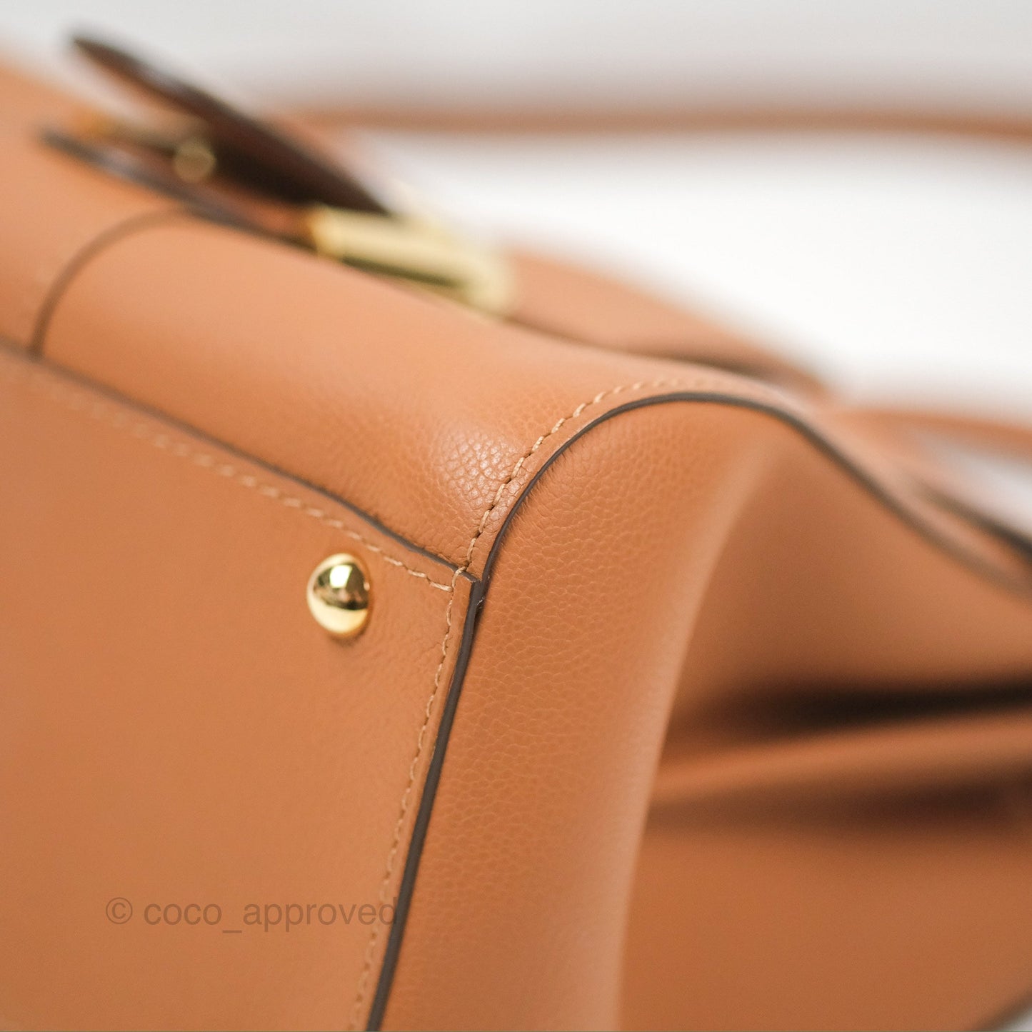 Delvaux Mini Brillant Bag Vegetal Rodeo Calf Gold Hardware