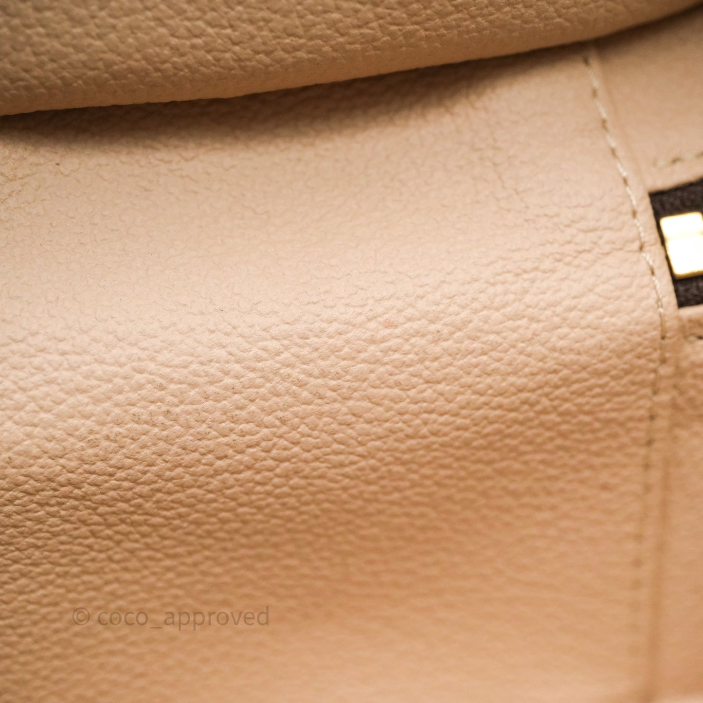 Louis Vuitton Nice Nano Monogram Canvas