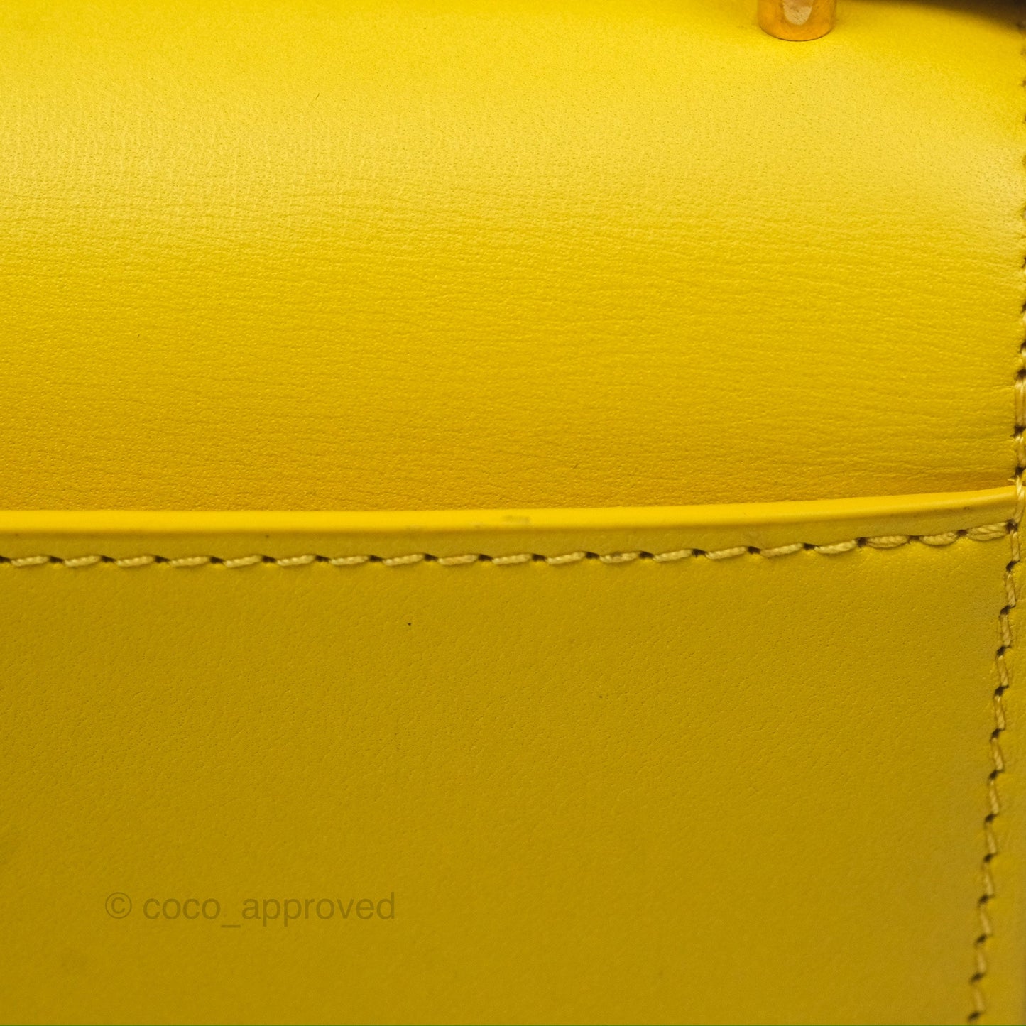 Loewe Small Goya Bag Yellow Silk Calfskin