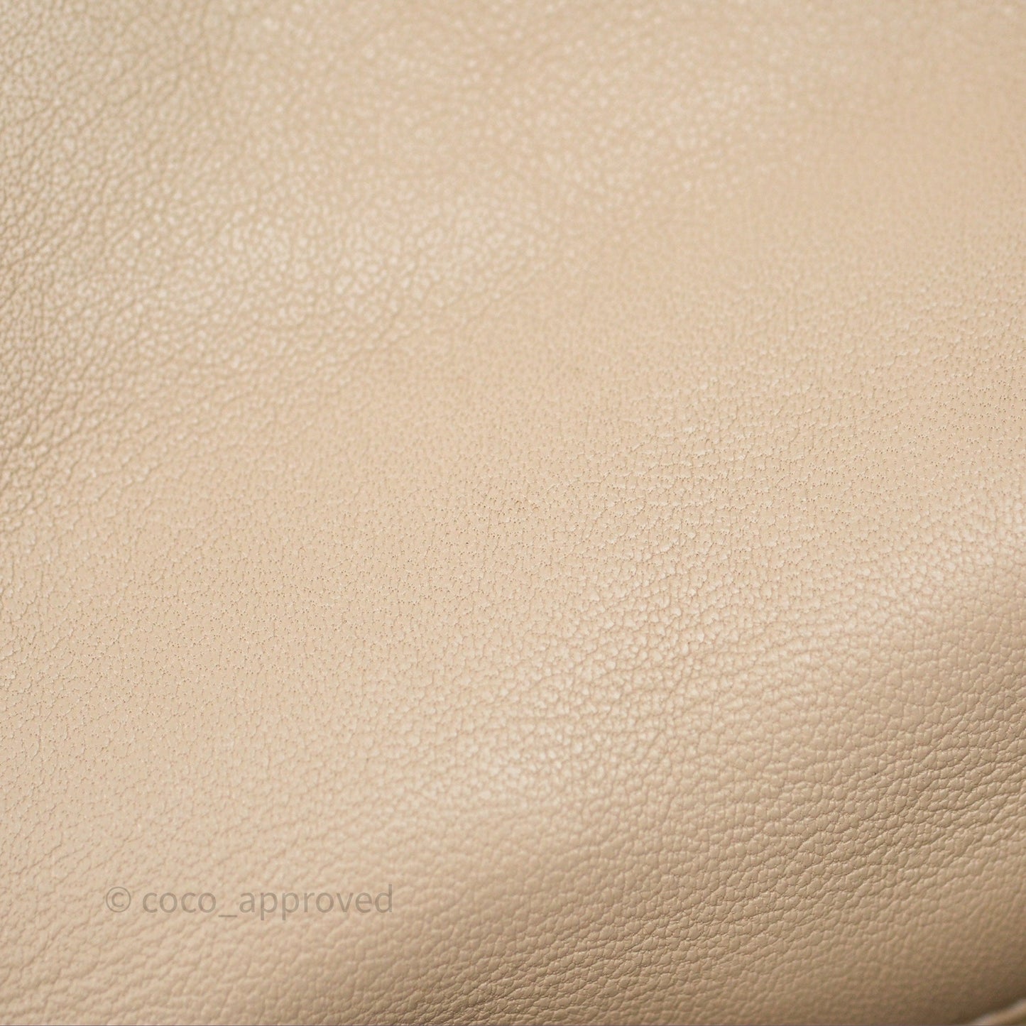 Chanel 19 Small Beige Mixed Hardware