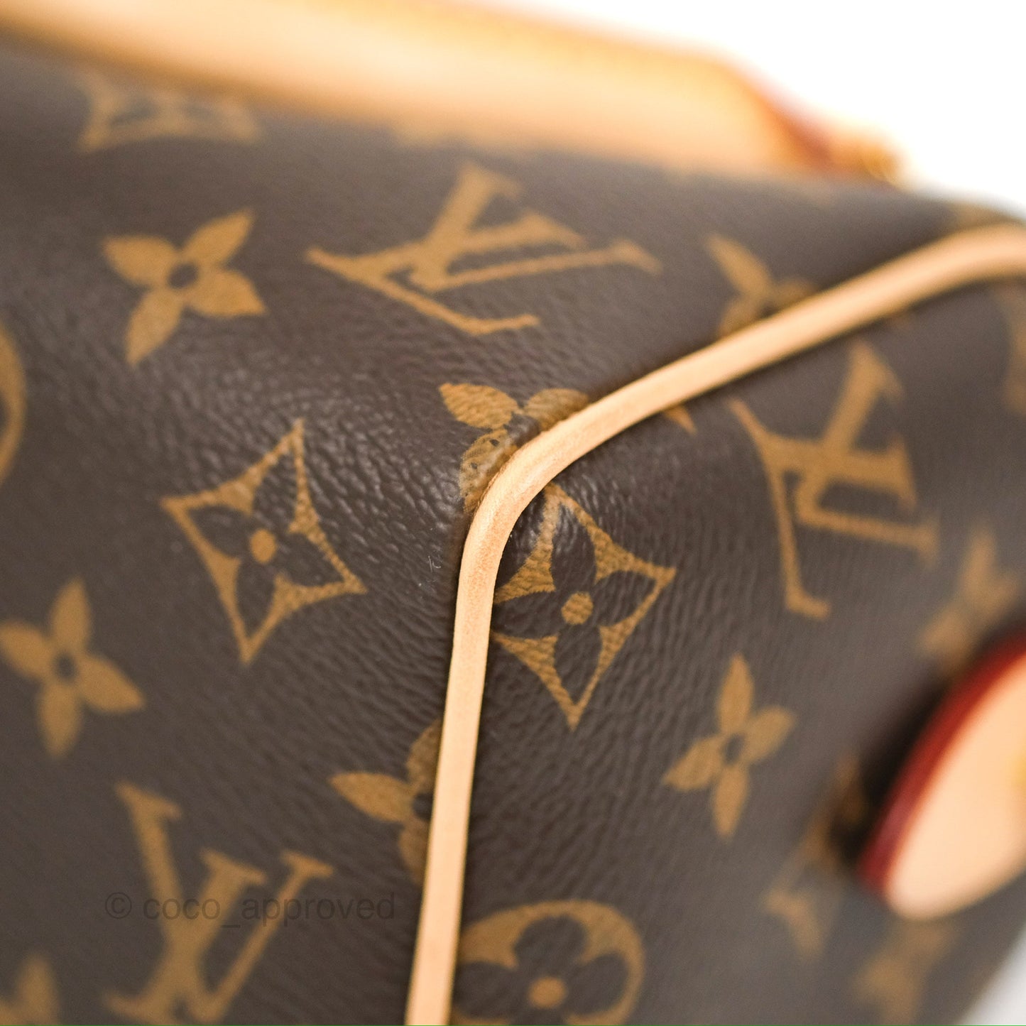 Louis Vuitton Speedy Bandoulière 20 Monogram