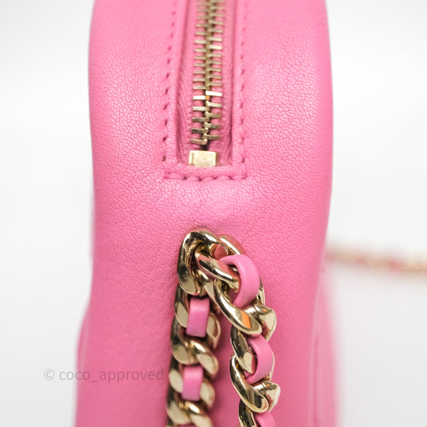 Chanel Camera Bag Pink Calfskin Aged Gold Hardware
