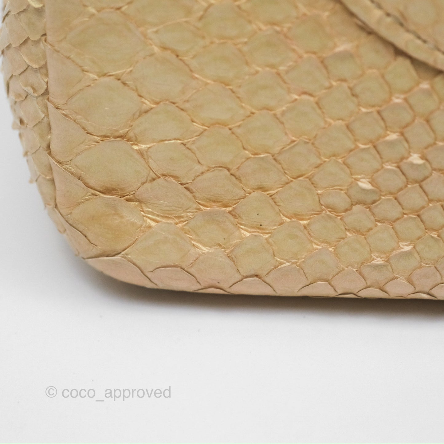 Chanel Jumbo Double Flap Iridescent Gold Python Gold Hardware⁣⁣