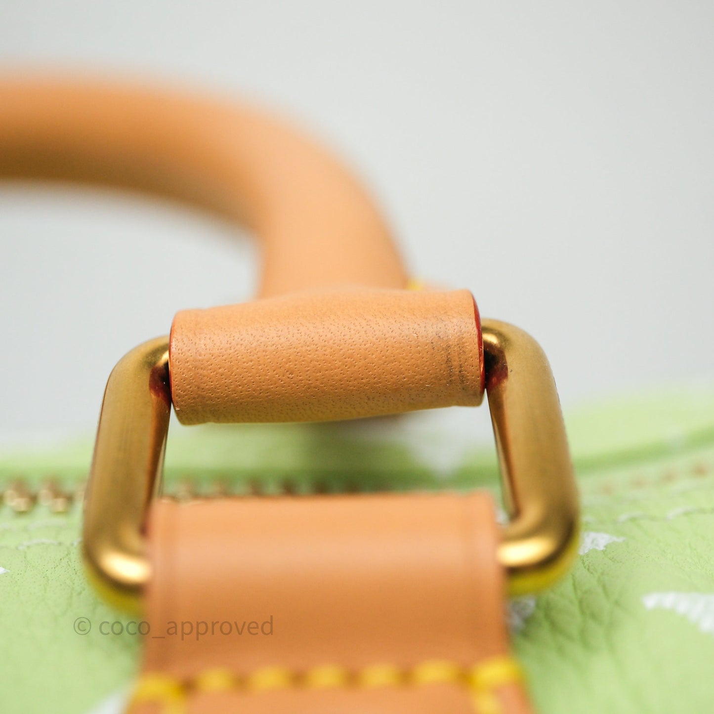 Louis Vuitton Speedy P9 Bandouliere 30 Vert Clair Bag