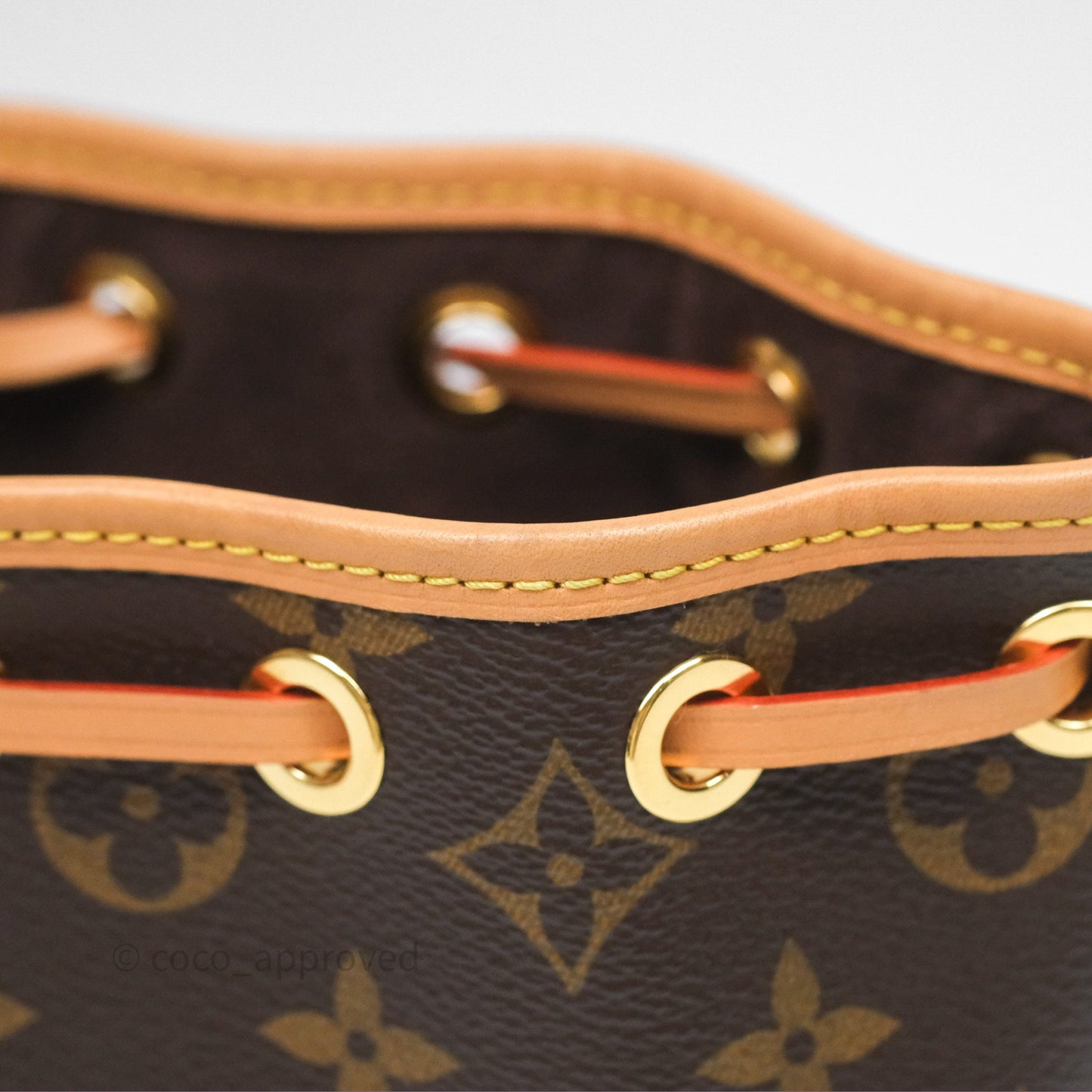 Louis Vuitton Nano Noe Monogram