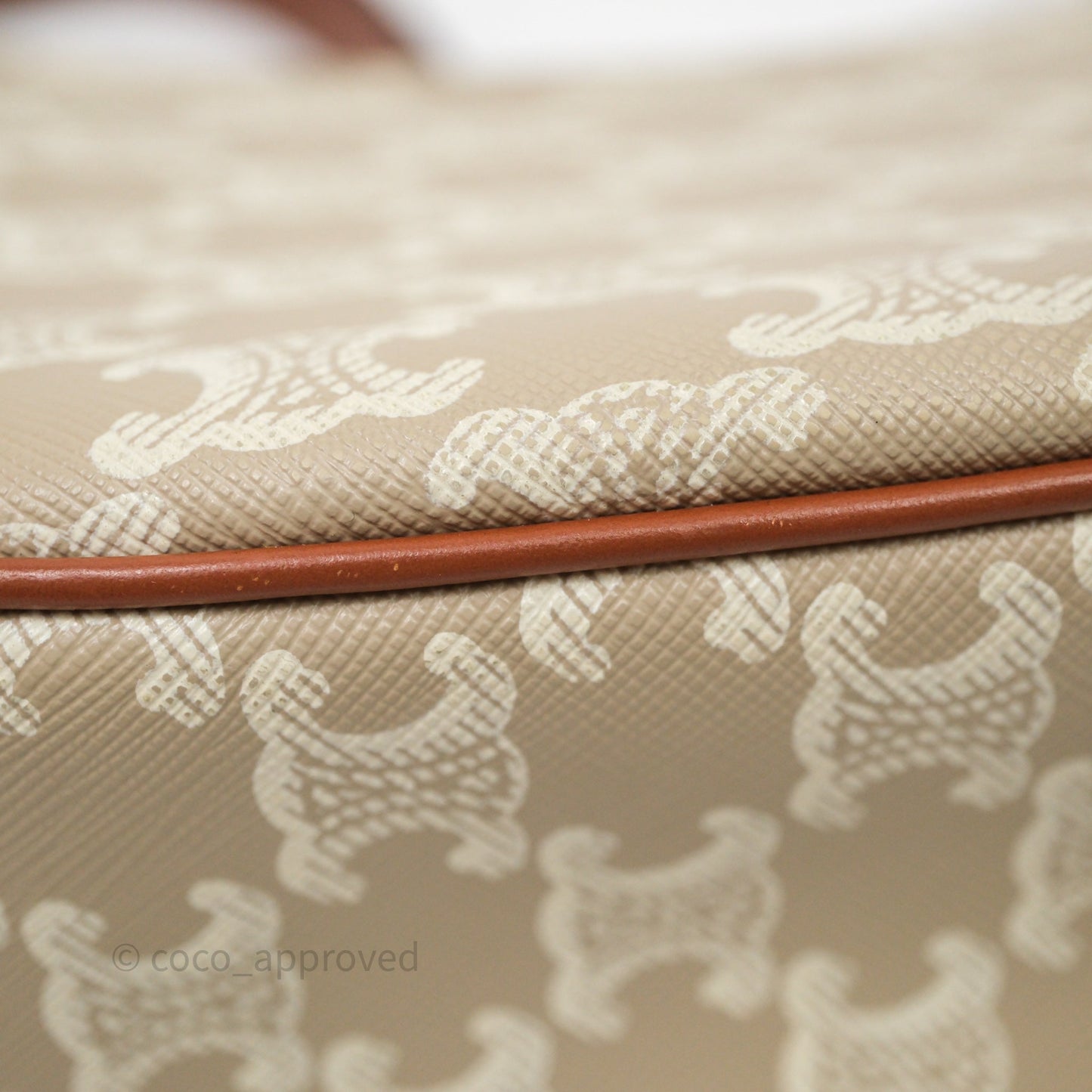Celine Ava Bag In Triomphe Canvas Calfskin Grege