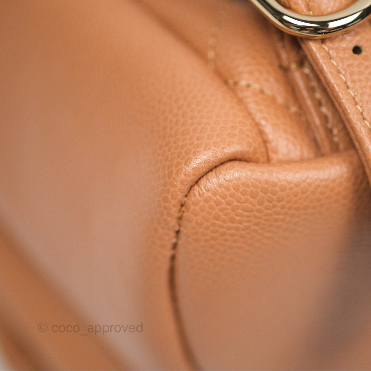 Chanel Duma Backpack Medium Dark Beige Caviar Gold Hardware