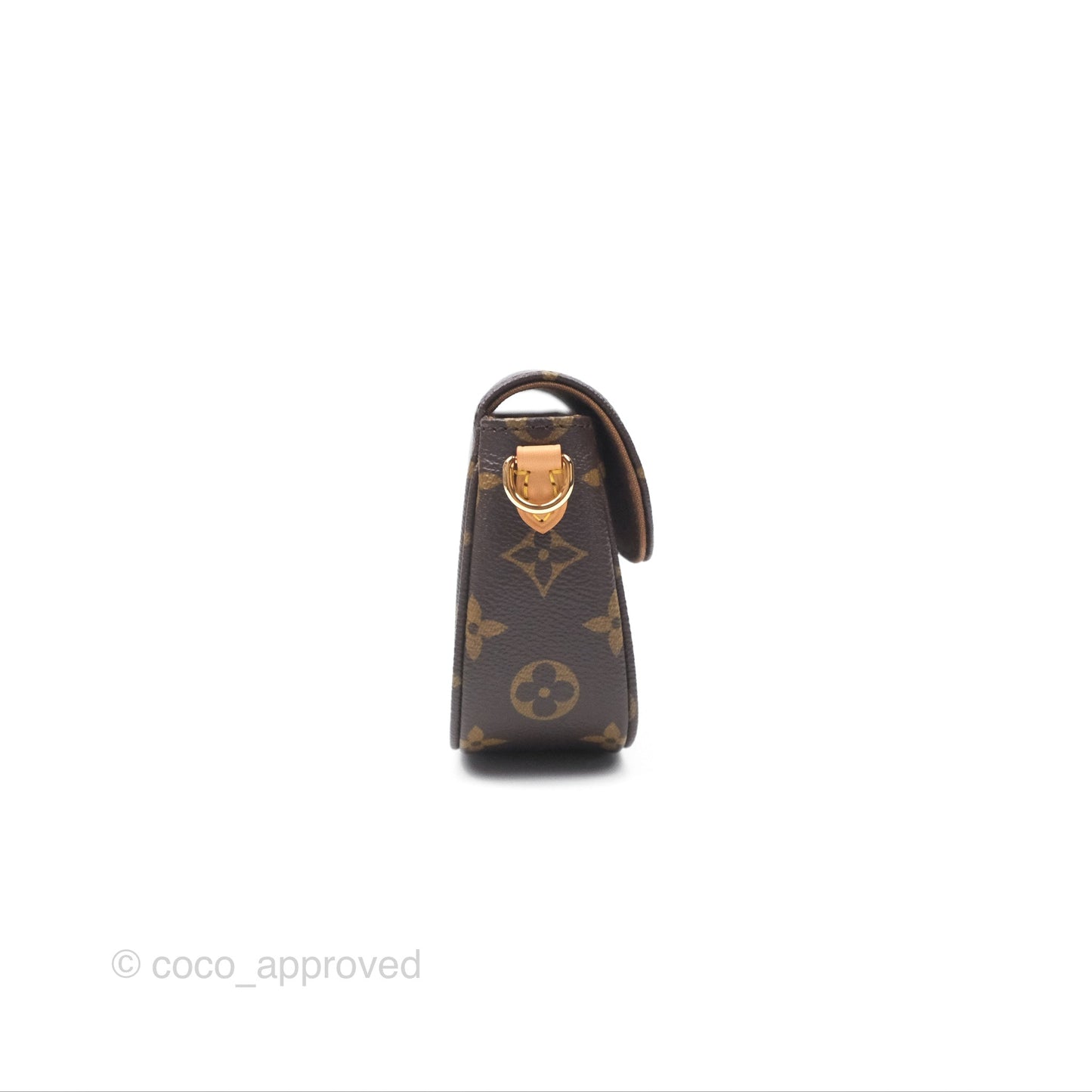 Louis Vuitton Ivy Wallet on Chain Monogram Canvas