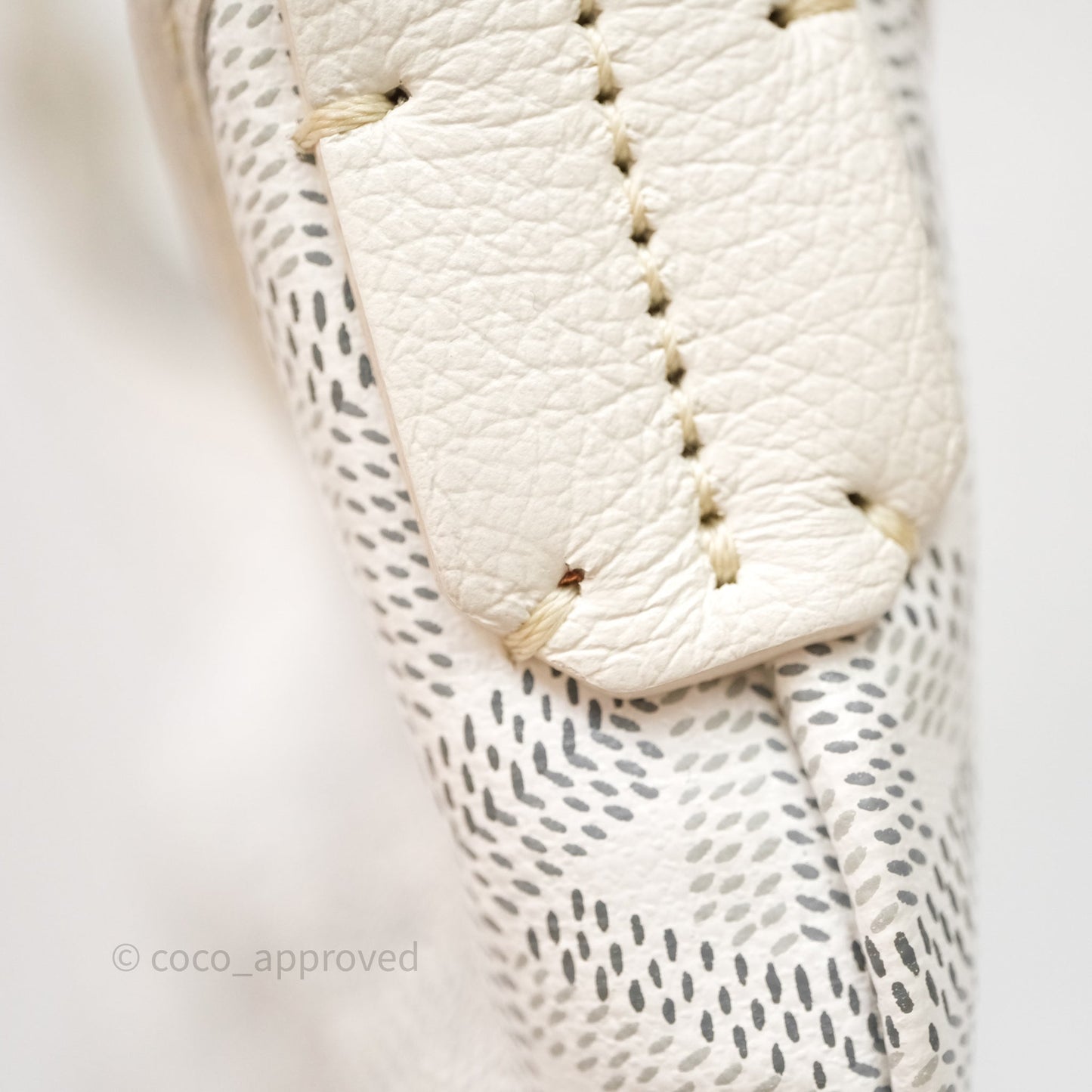 Goyard Bohème Hobo Bag PM White Goyardine Canvas
