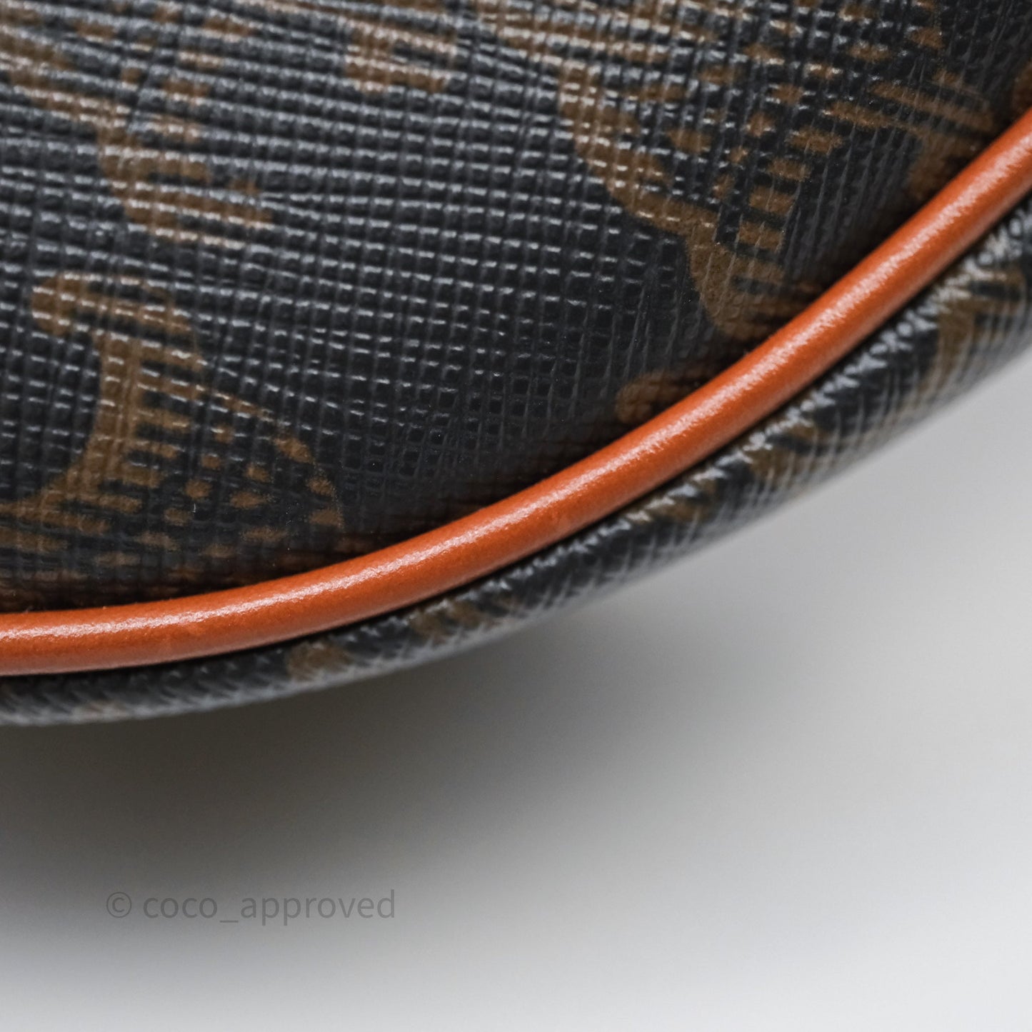Celine Ava Bag In Triomphe Canvas Calfskin Tan
