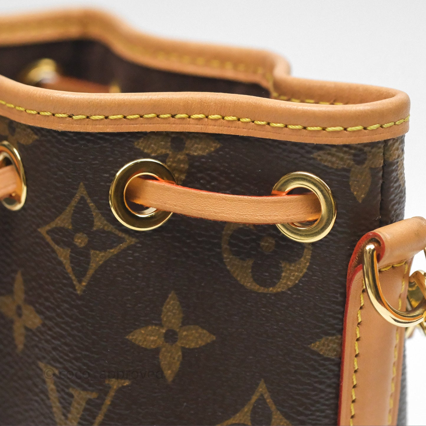 Louis Vuitton Nano Noe Monogram