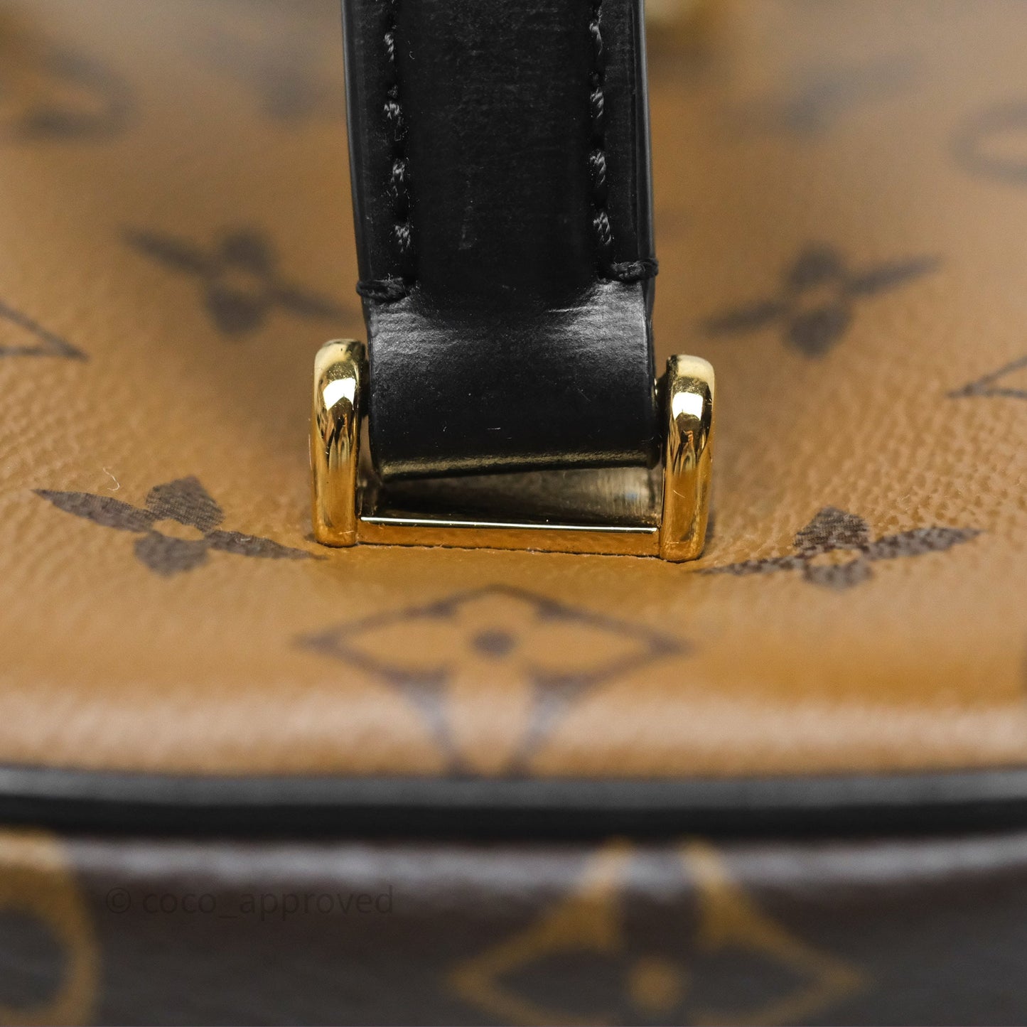Louis Vuitton Reverse Monogram Vanity PM