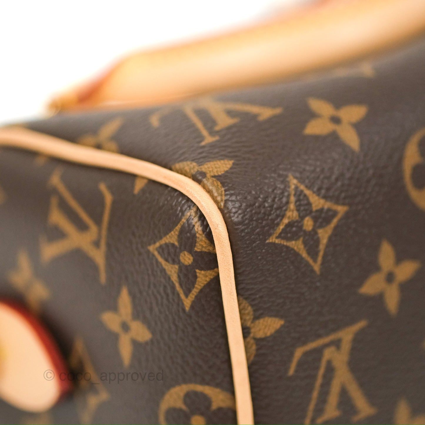 Louis Vuitton Speedy Bandoulière 20 Monogram