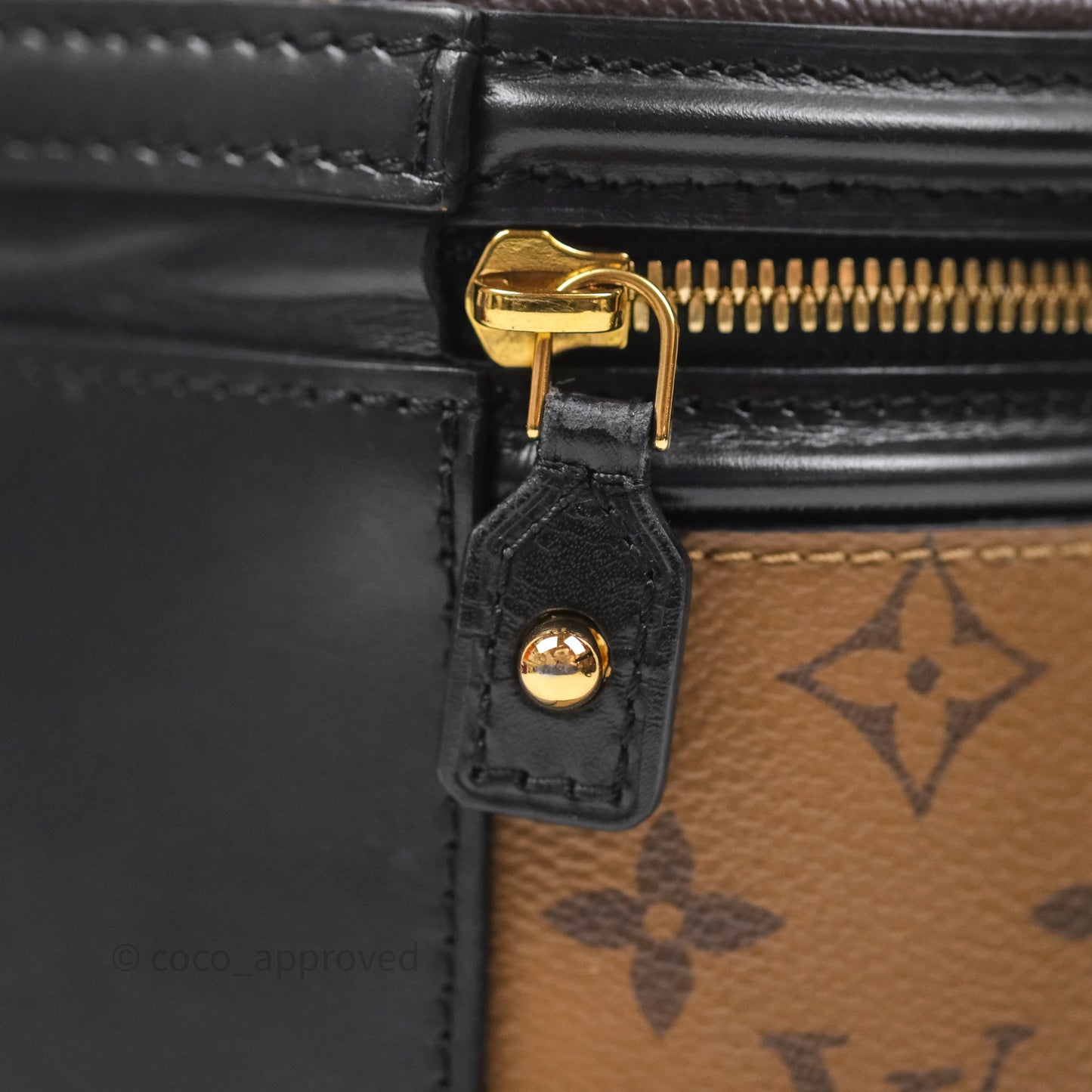 Louis Vuitton Monogram Canvas Reverse Cannes Bag