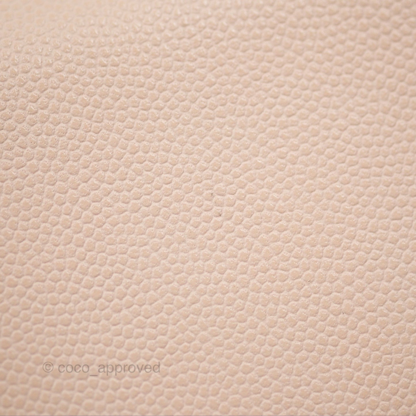 Chanel Vanity with Classic Chain Light Beige Caviar Gold Hardware 22C