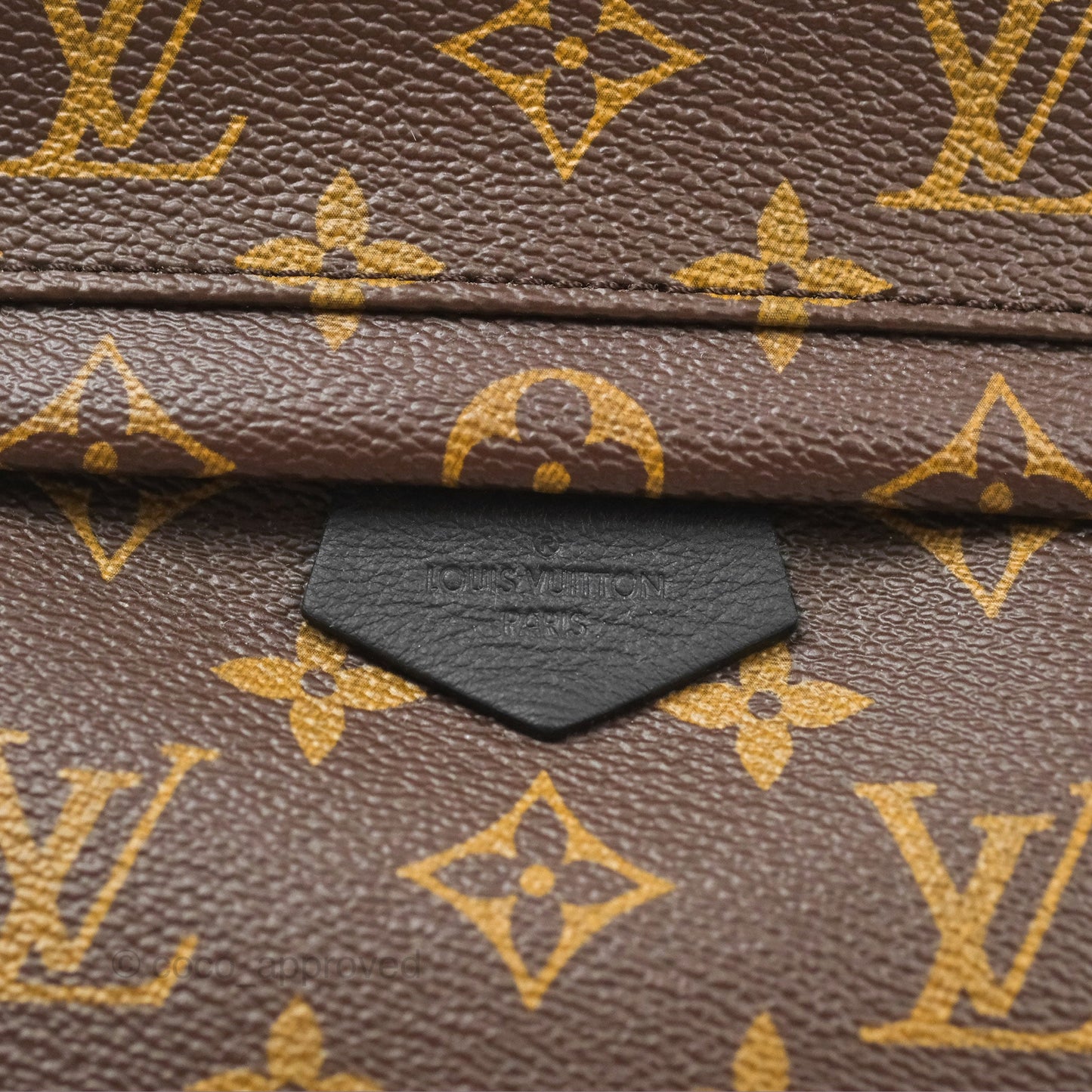 Louis Vuitton Palm Springs Backpack⁣ Monogram PM