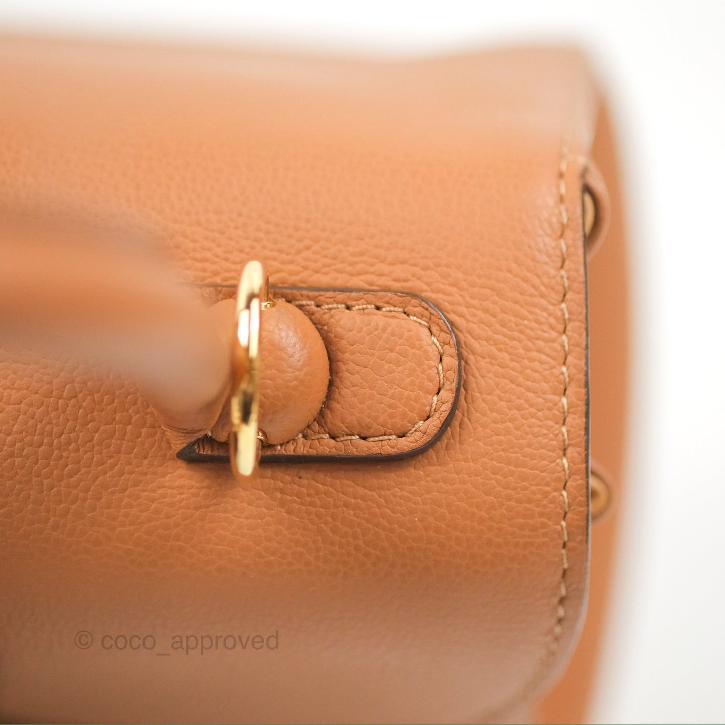 Delvaux Mini Brillant Bag Vegetal Rodeo Calf Gold Hardware