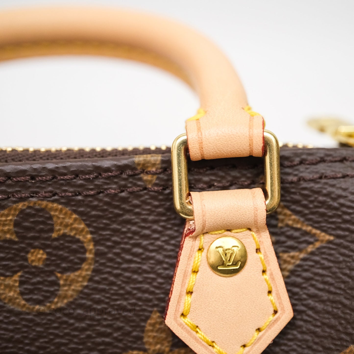 Louis Vuitton Nano Speedy Monogram Canvas