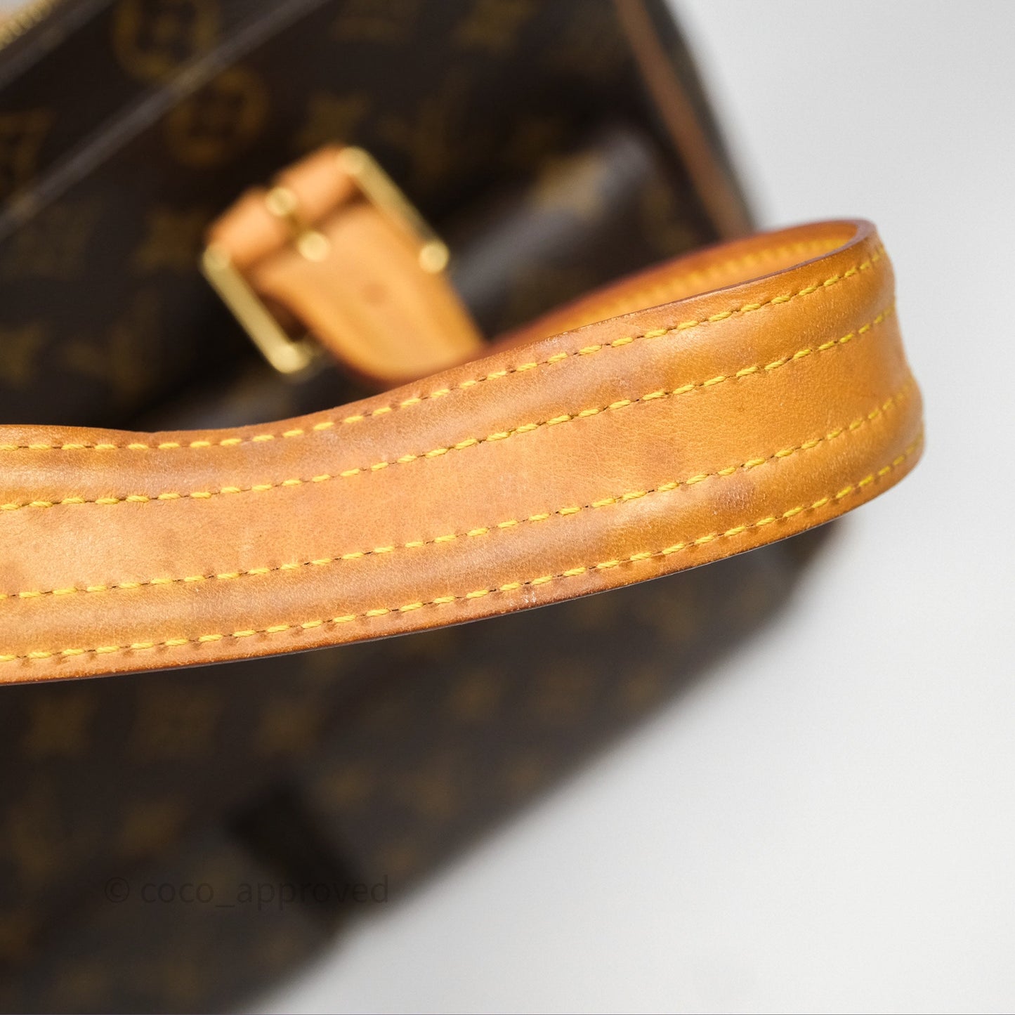 Louis Vuitton Multipli-Cite Tote Monogram Canvas