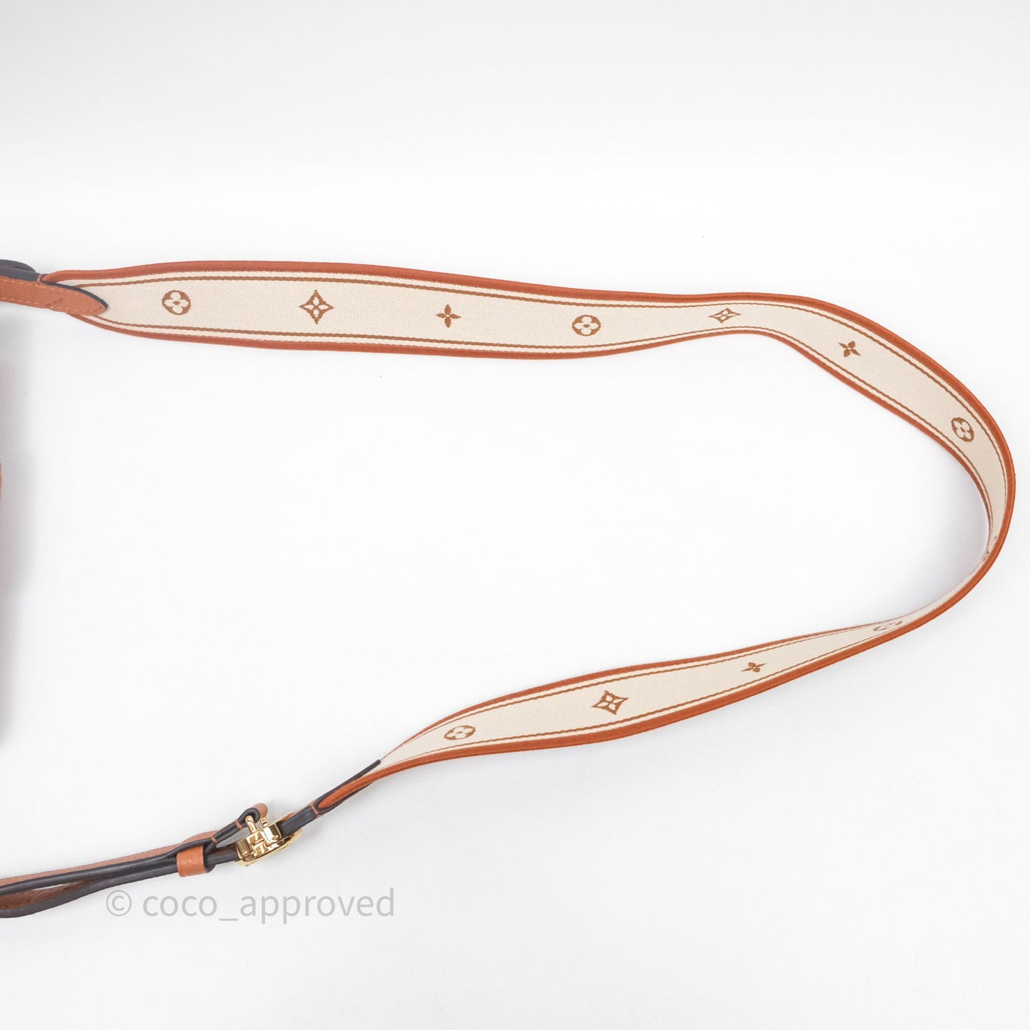 Louis Vuitton Pont 9 Soft PM Brown Grained Calfskin Gold Hardware