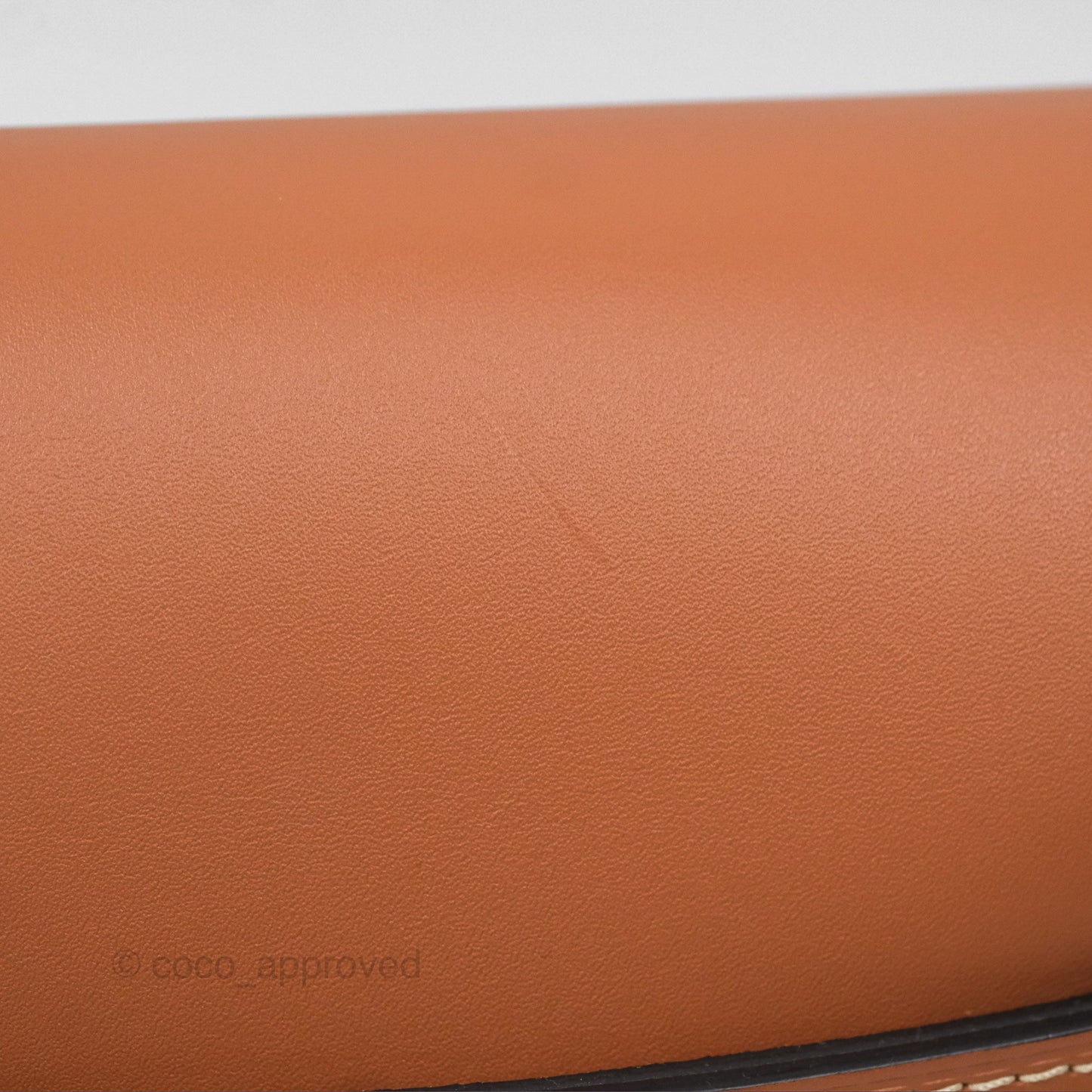 Loewe Small Raffia Gate Bag Smooth Calfskin in Tan