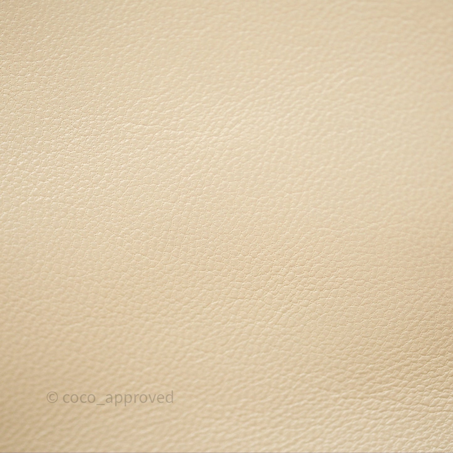 Chanel 19 Small Beige Mixed Hardware