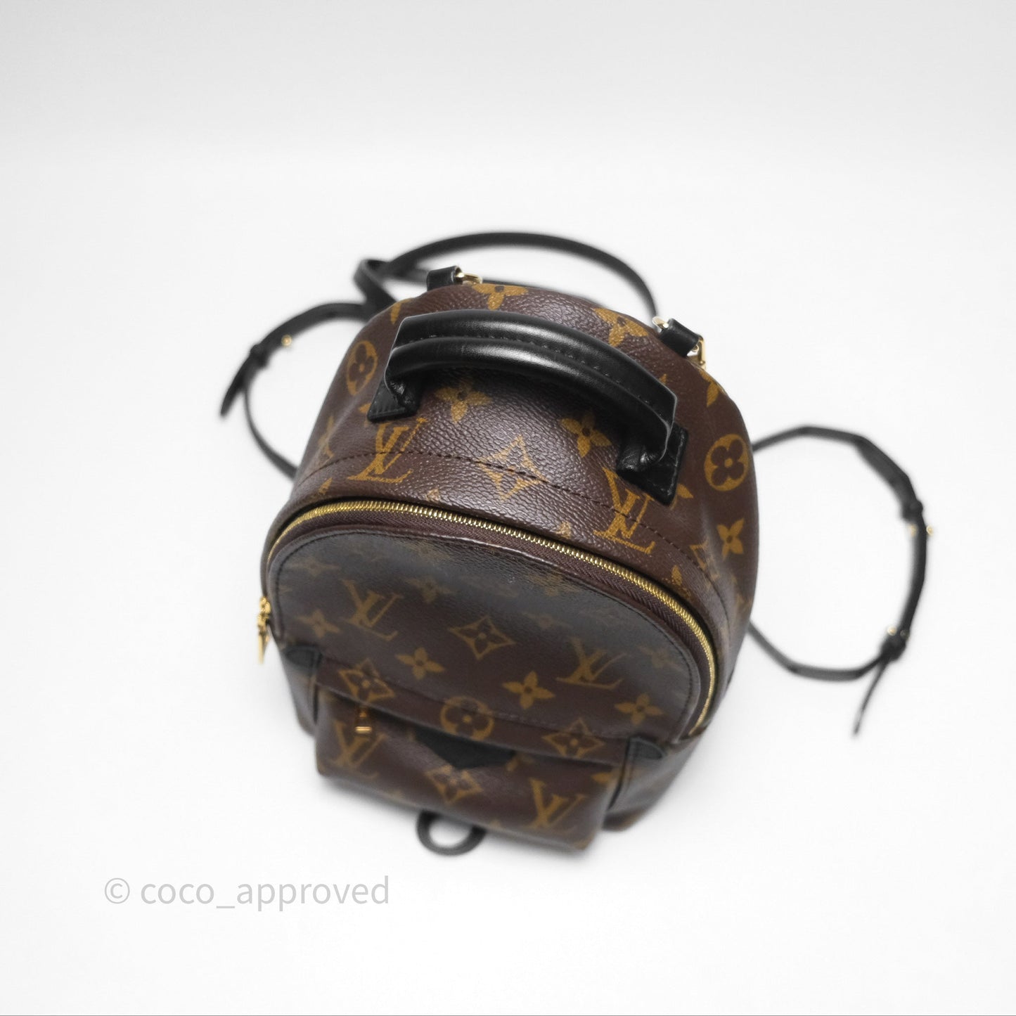 Louis Vuitton Monogram Mini Palm Springs Backpack⁣