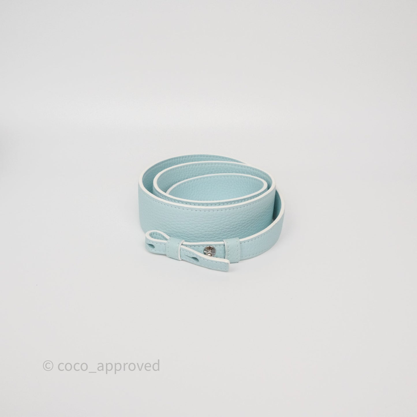Delvaux Cool Box Mini Taurillon Soft Grained Calfskin Celadon