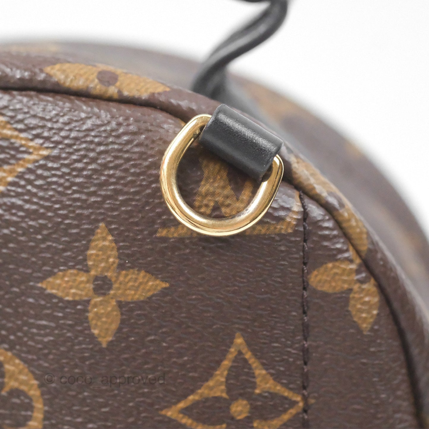 Louis Vuitton Monogram Mini Palm Springs Backpack⁣