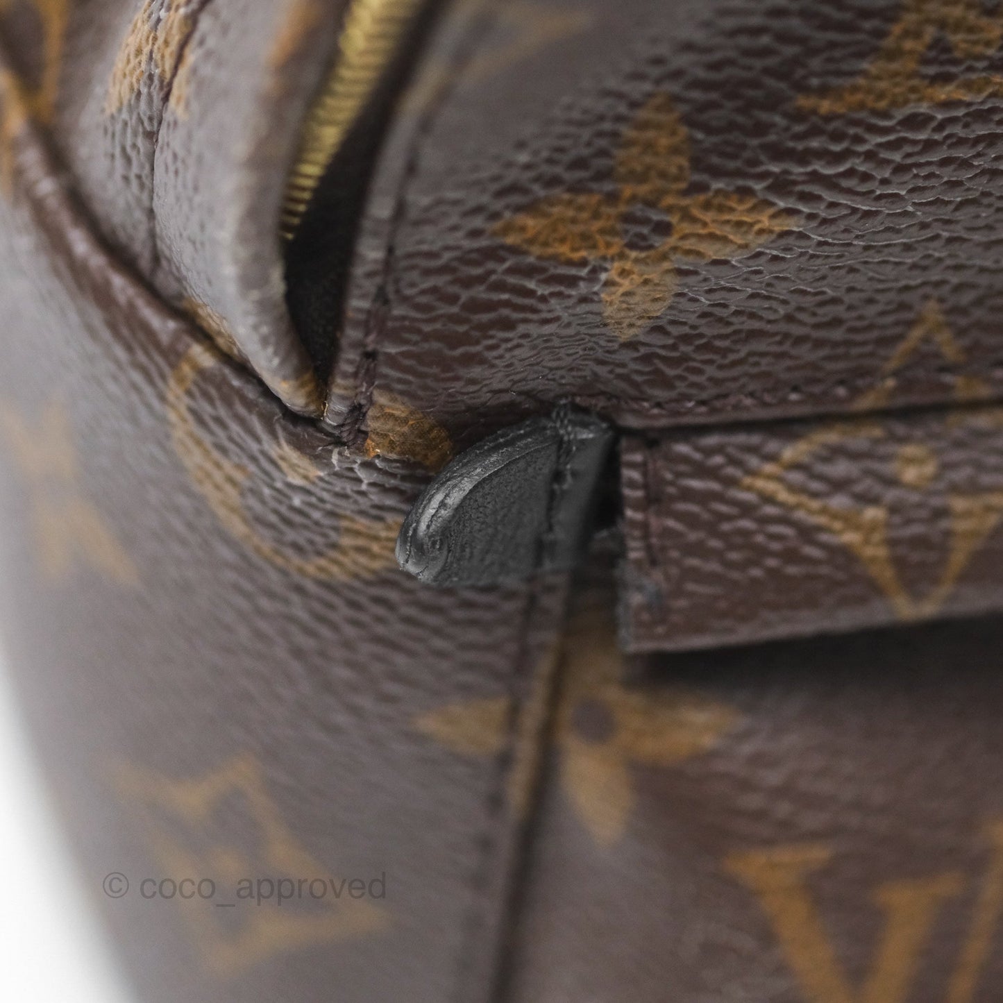 Louis Vuitton Monogram Mini Palm Springs Backpack⁣
