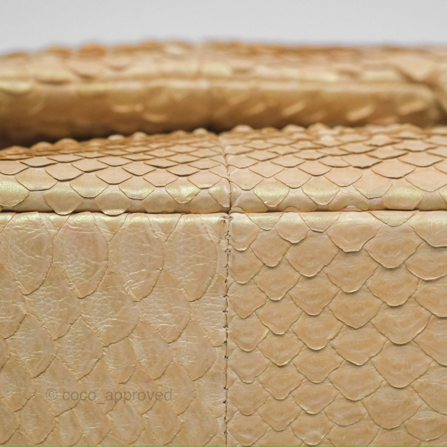Chanel Jumbo Double Flap Iridescent Gold Python Gold Hardware⁣⁣